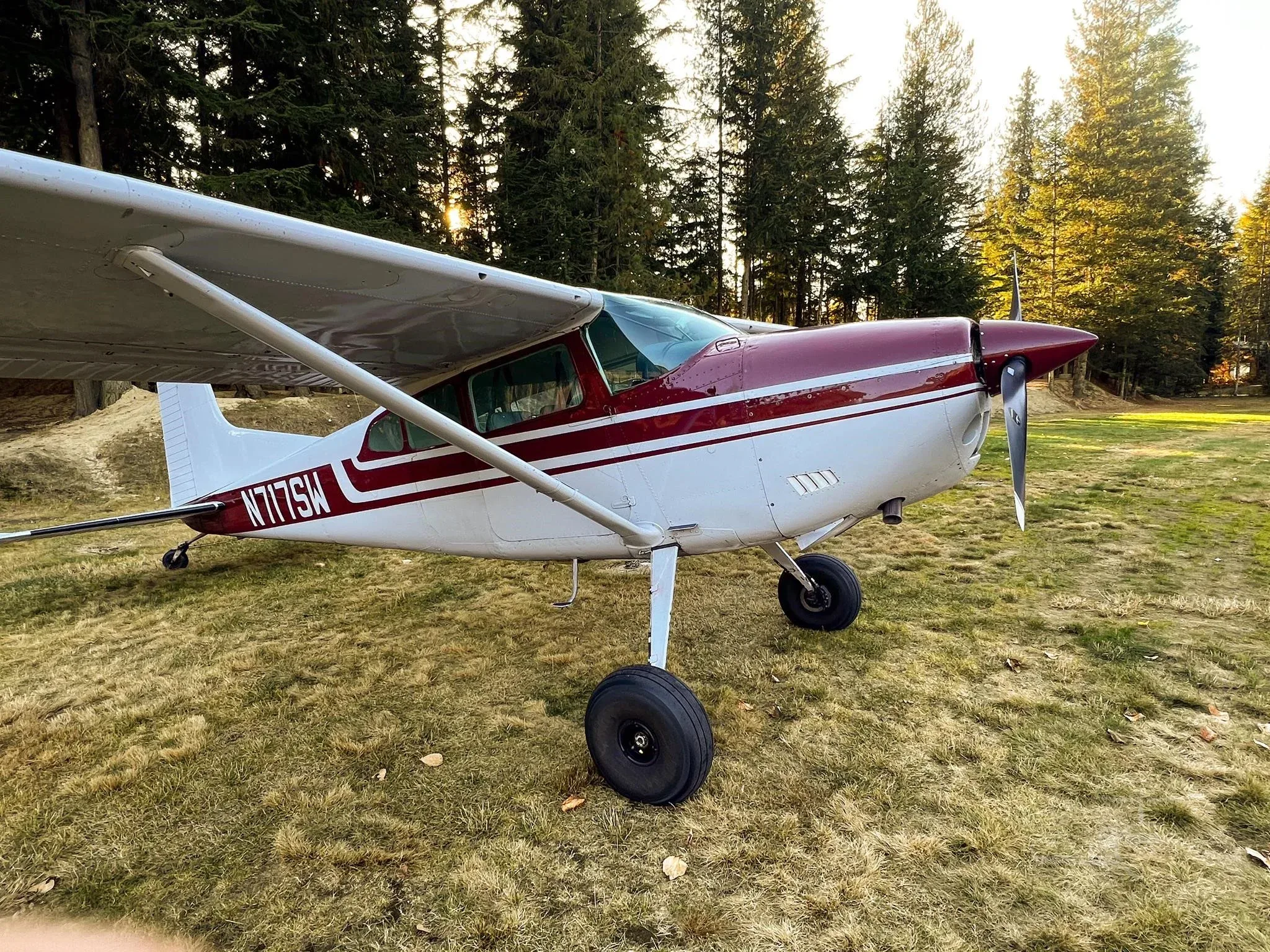 N717SW - 1977 Cessna 180K