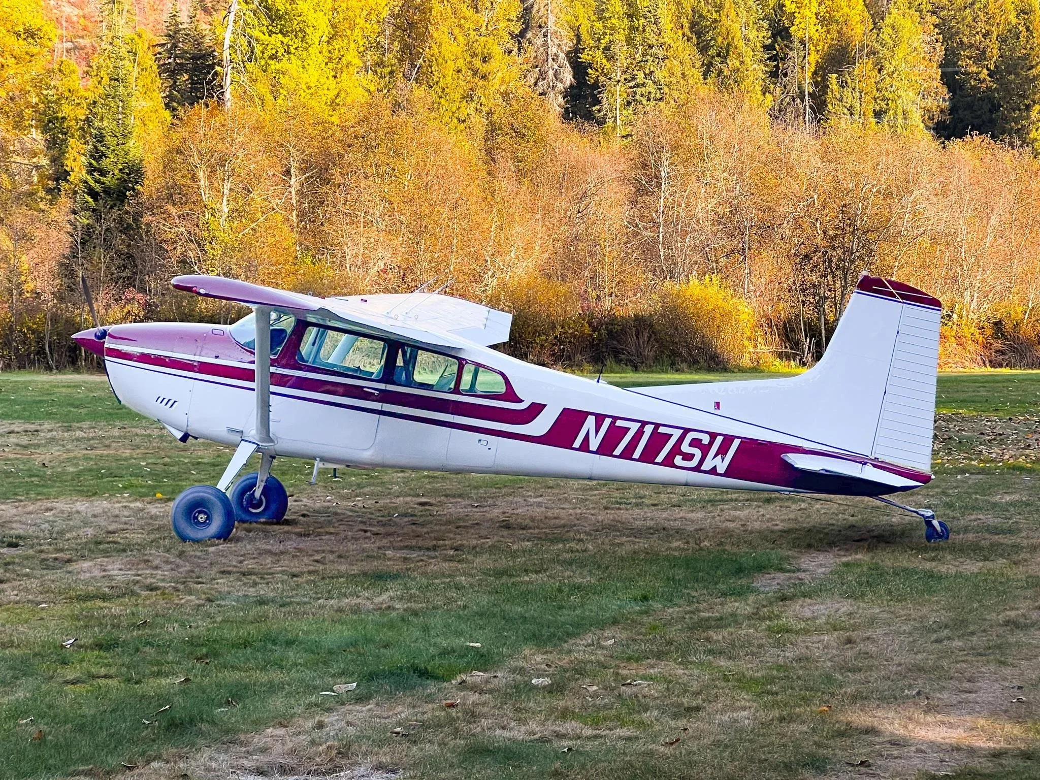 N717SW - 1977 Cessna 180K
