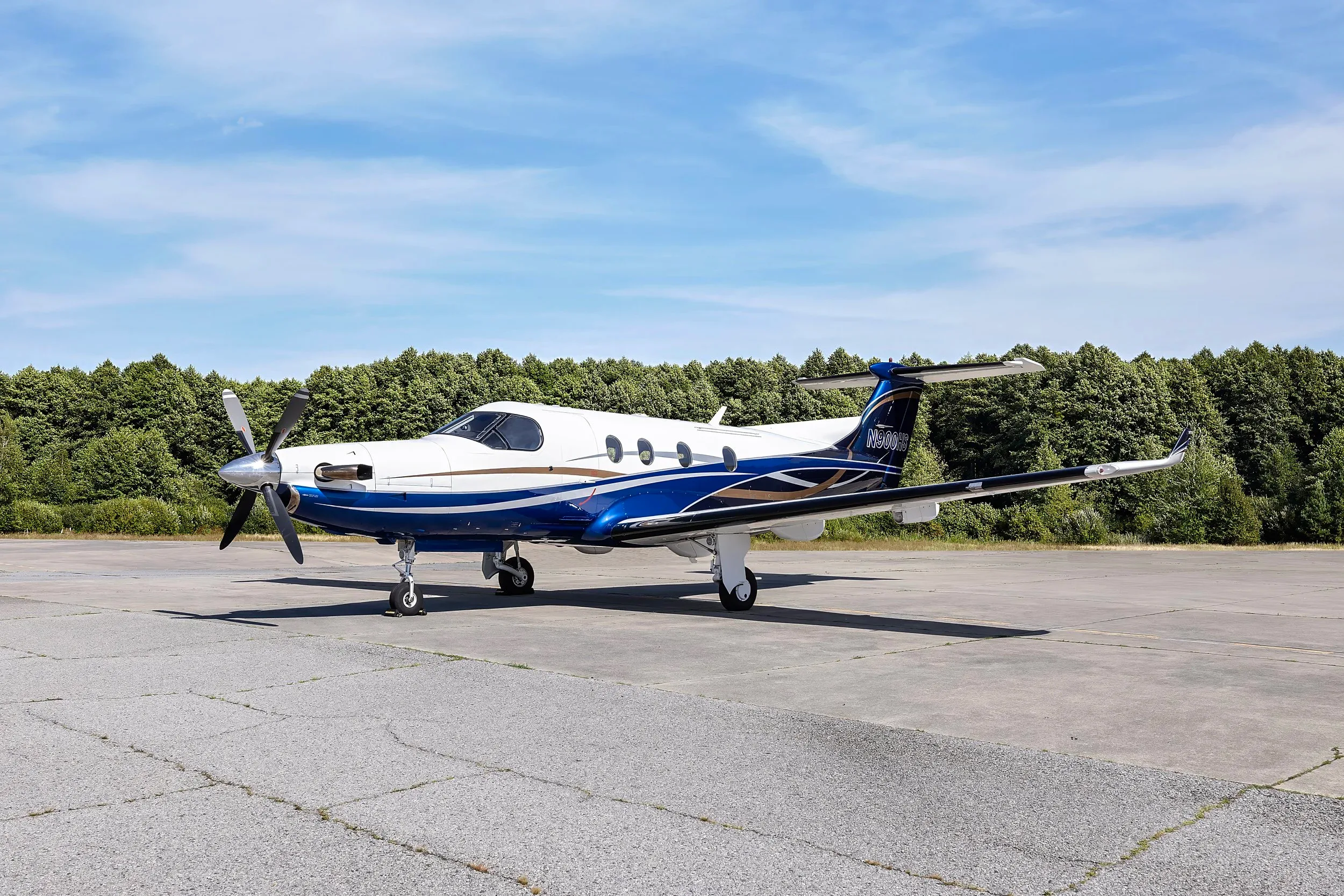1996 Pilatus PC-12/45 — Aircraft Executives