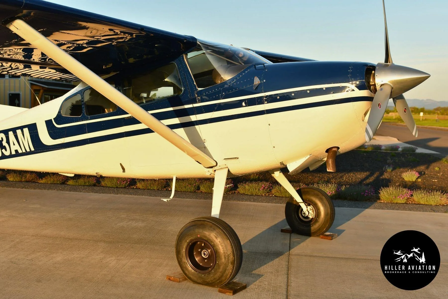 Exterior view of a 1975 Cessna A185F Skywagon.