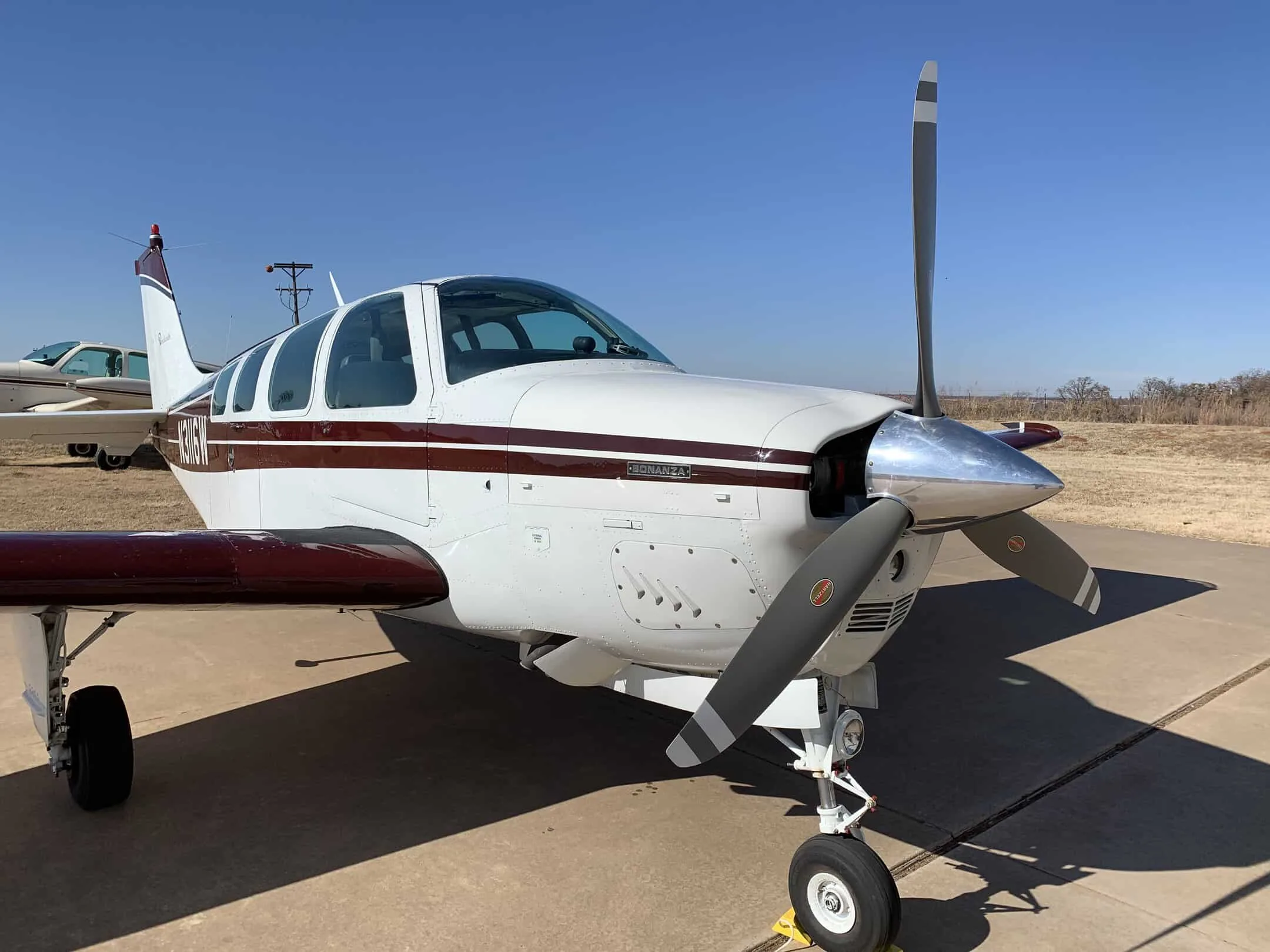 Exterior view of a 1973 Beechcraft A36, N3116W.