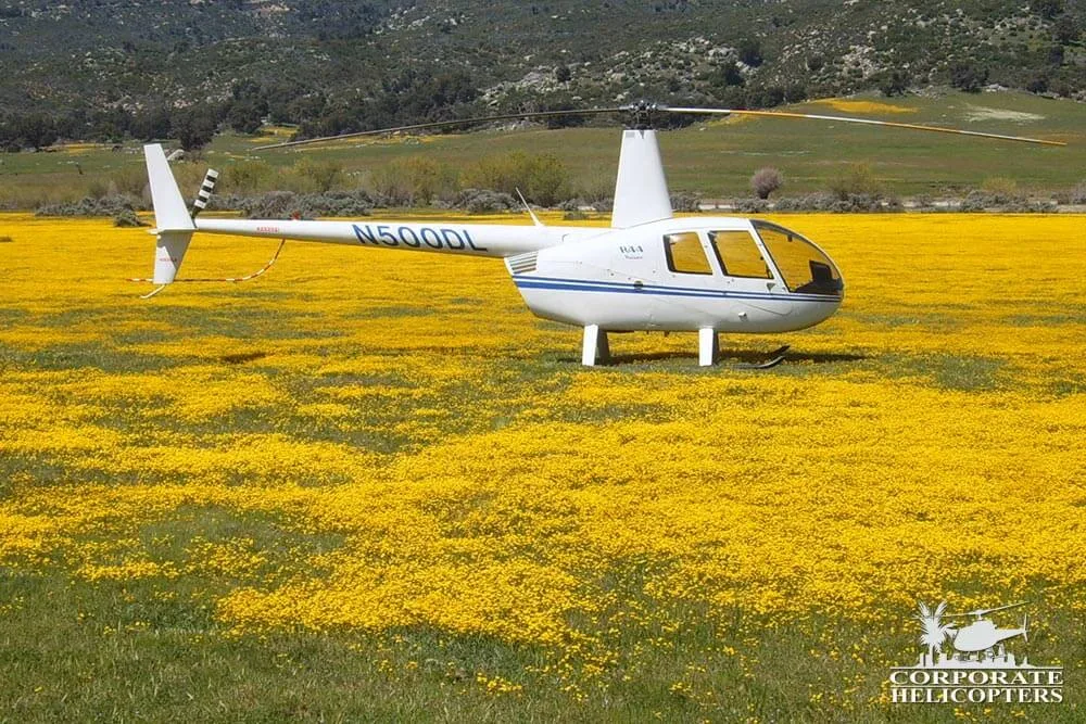 2002 Robinson R44 Raven I for sale