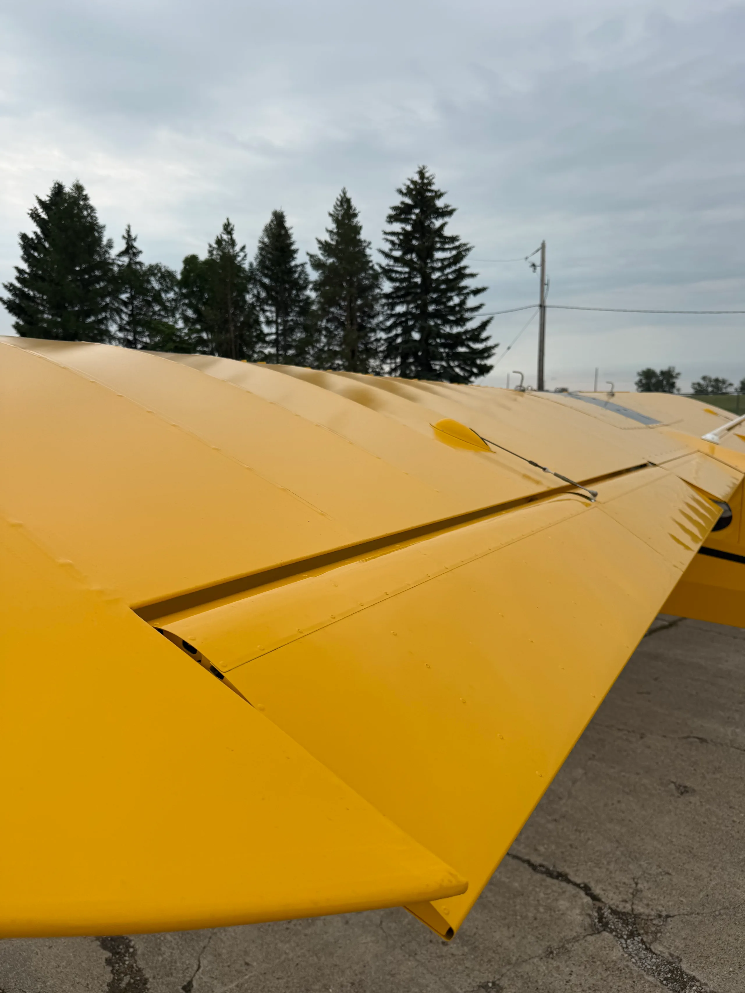 Exterior view of a 2020 CubCrafters Carbon Cub EX-3 - Canadian Aircraft Sales.