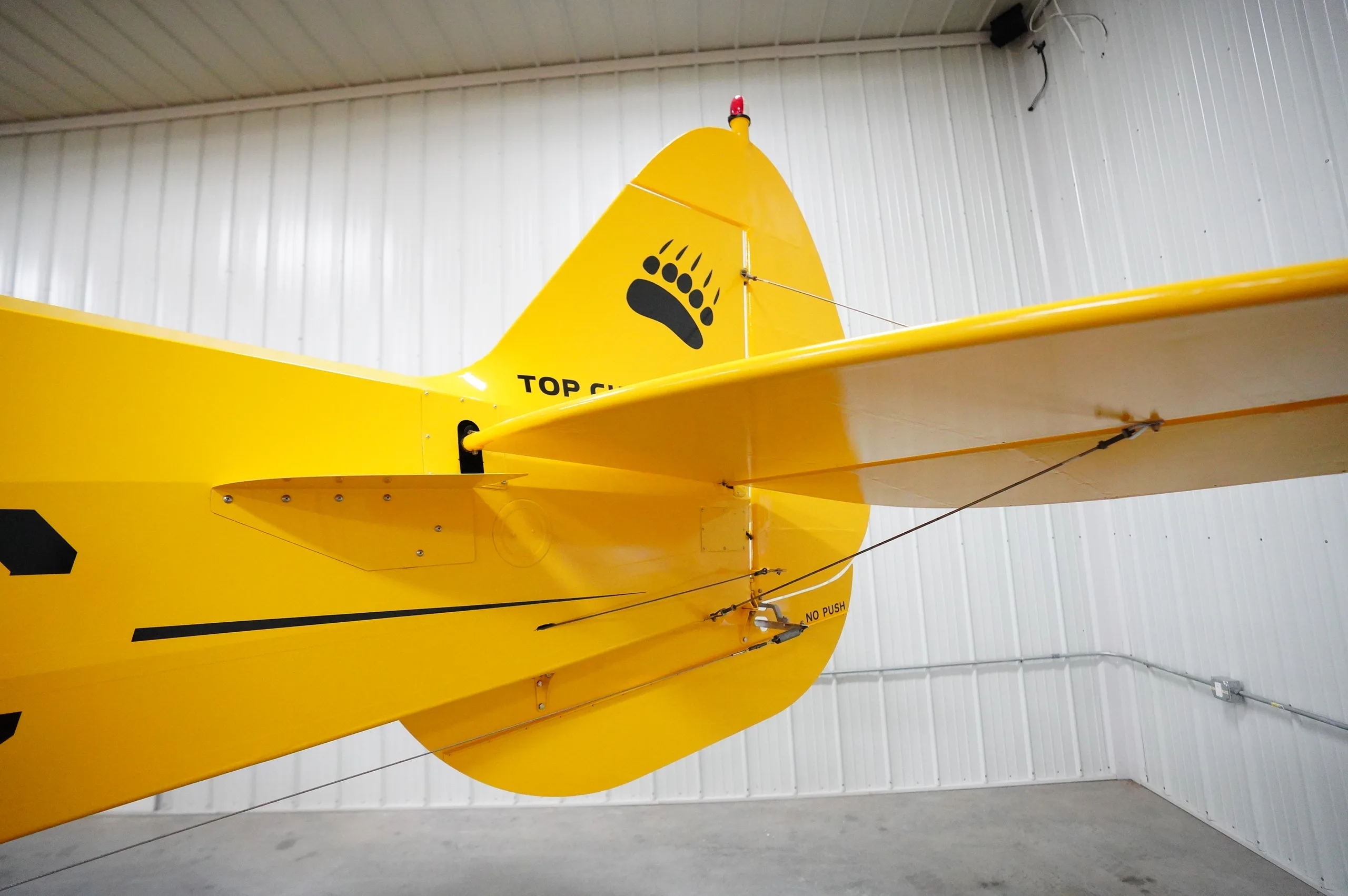 Top Cub Amphib