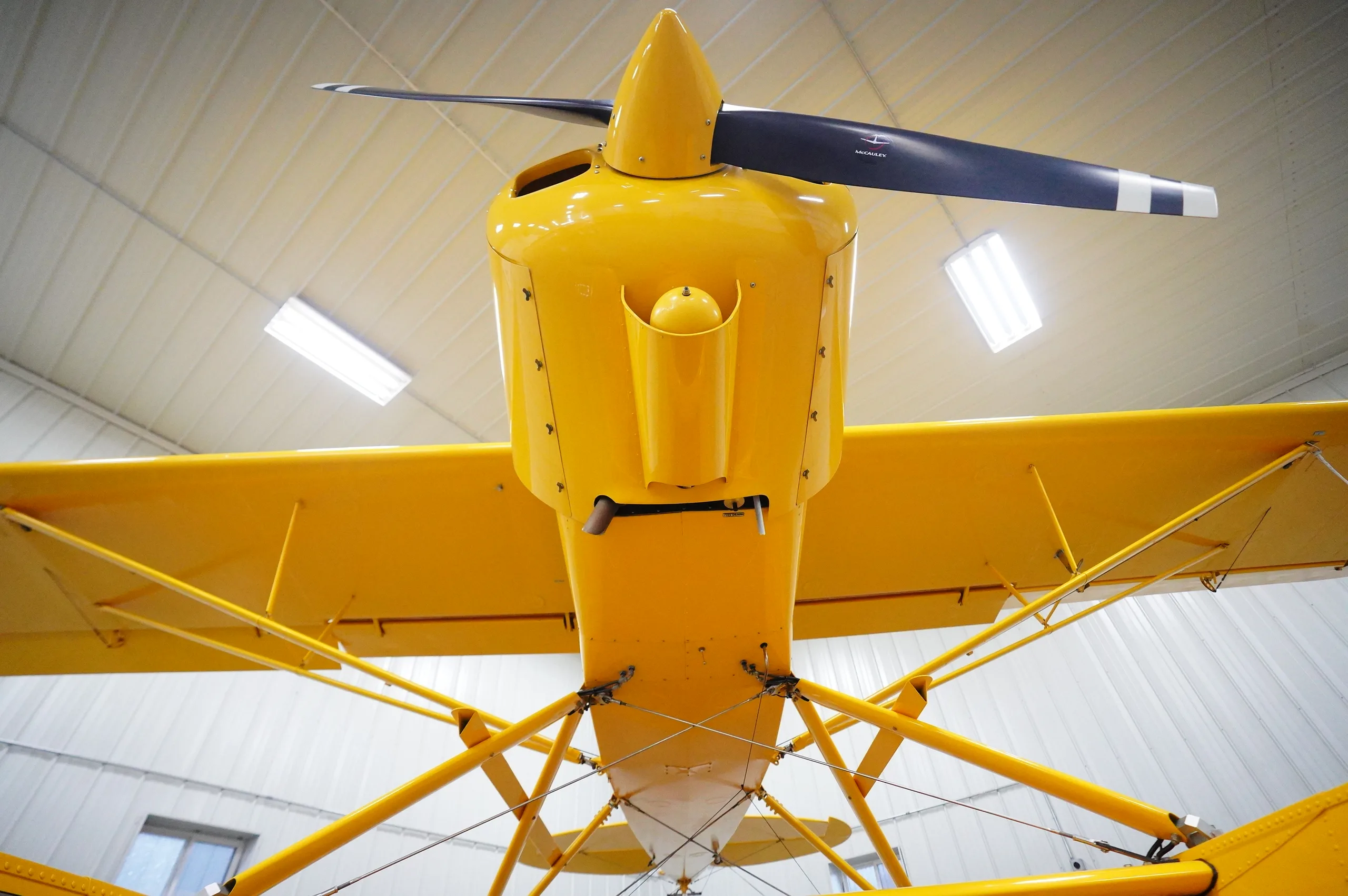 Top Cub Amphib