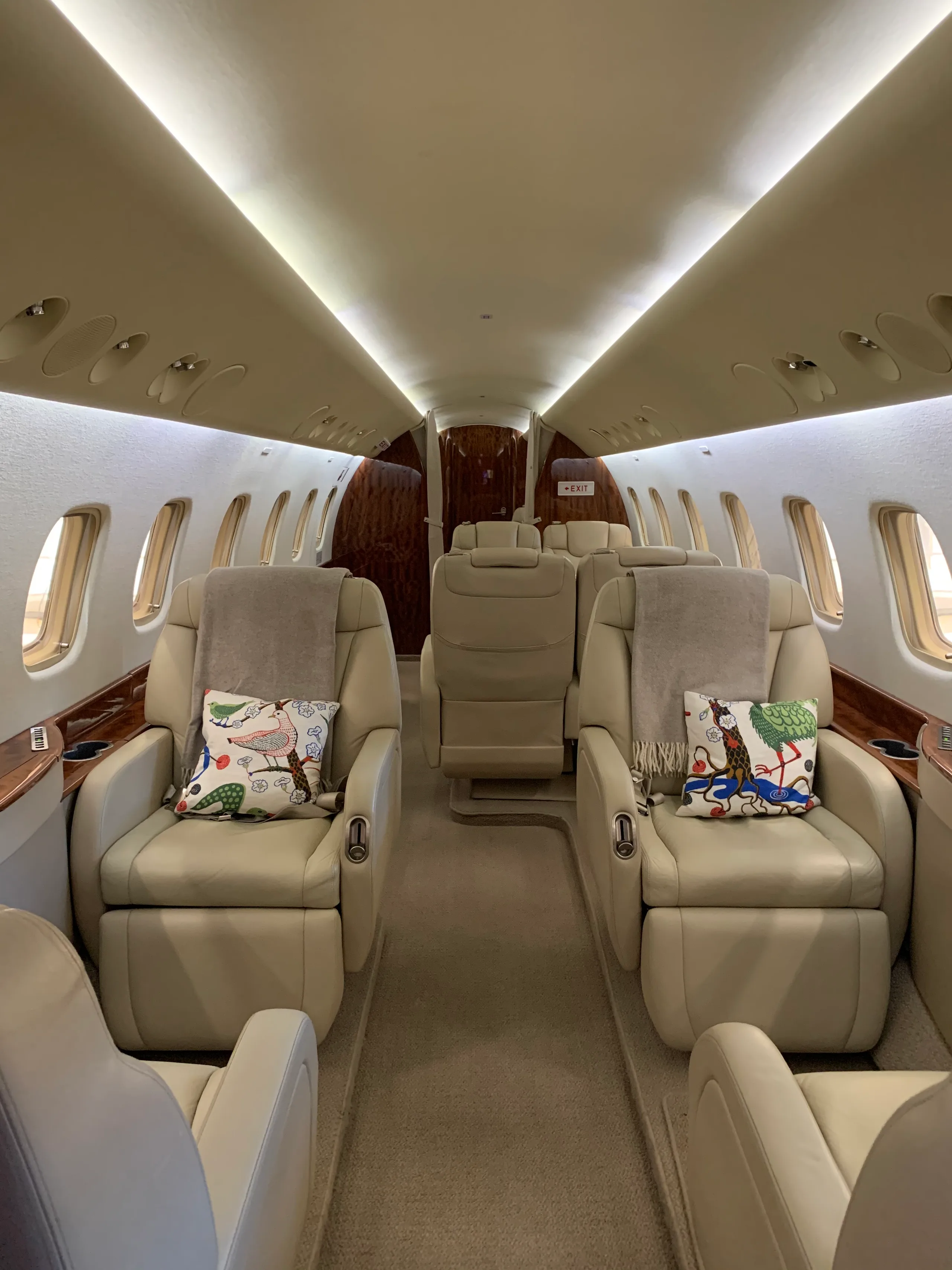Cabin interior of a 2008 Embraer Legacy 600.
