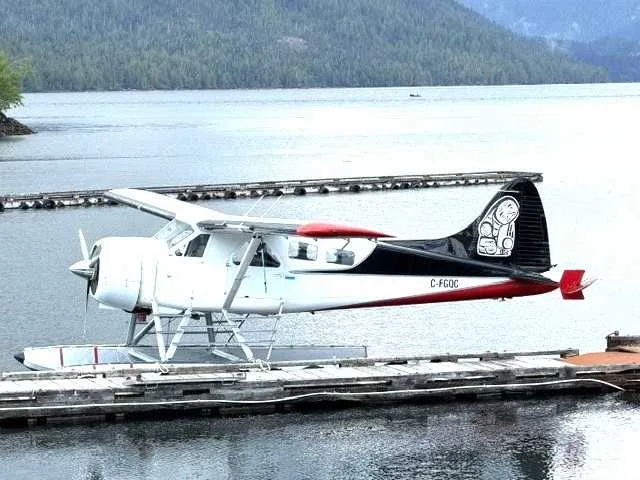 1975 Cessna A185F