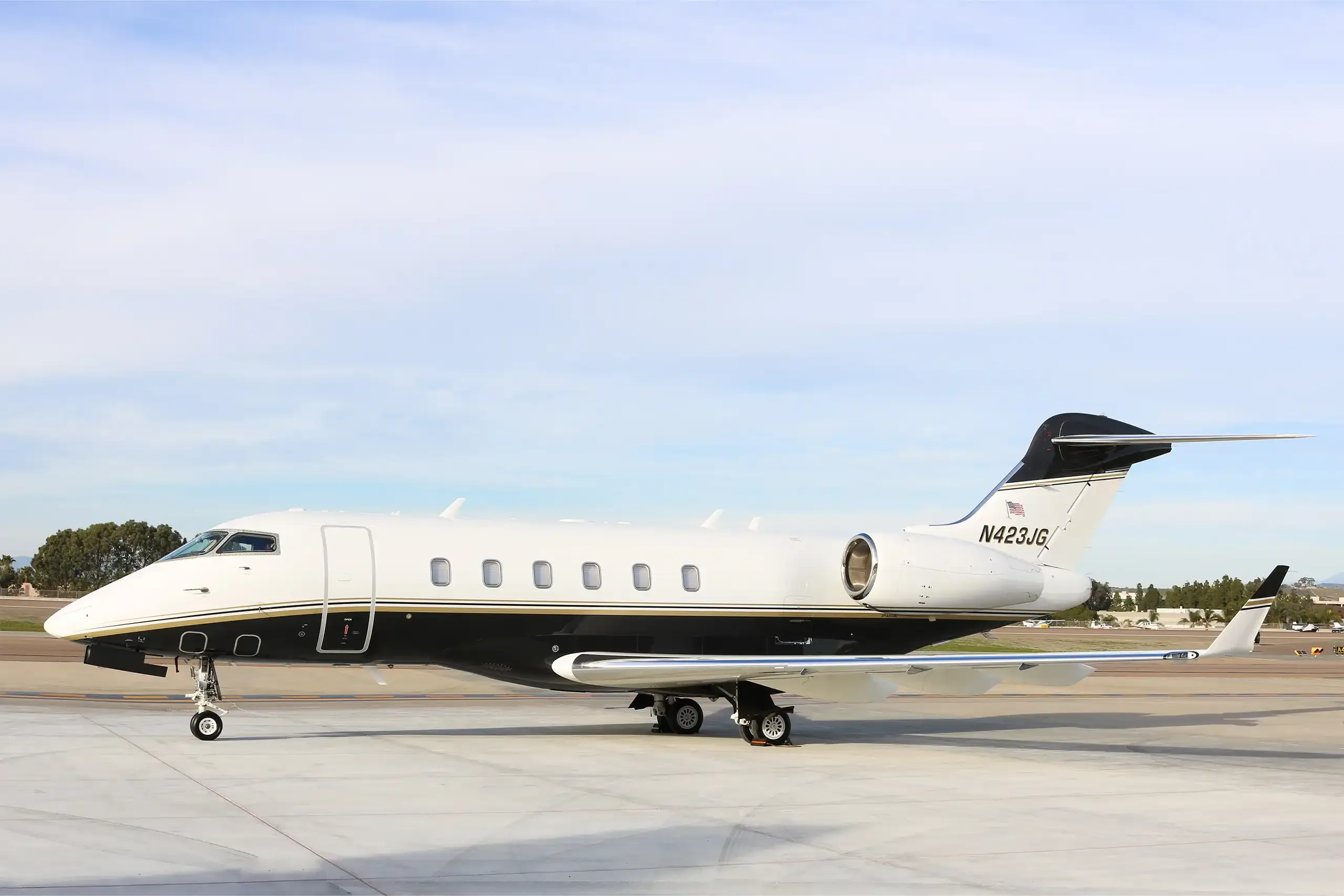 2009 Bombardier Challenger 300 N423JG - For Sale