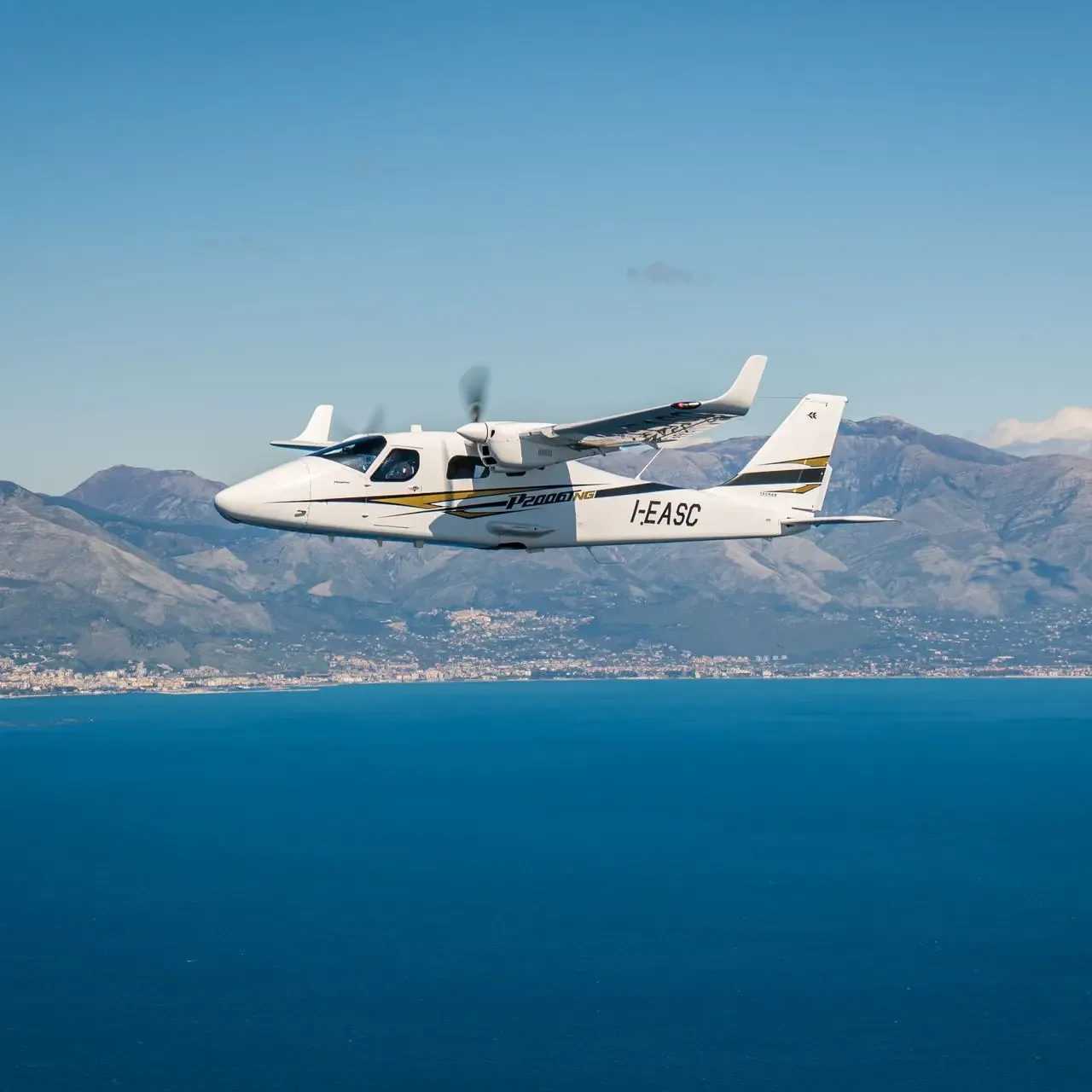 2015 Tecnam P2008