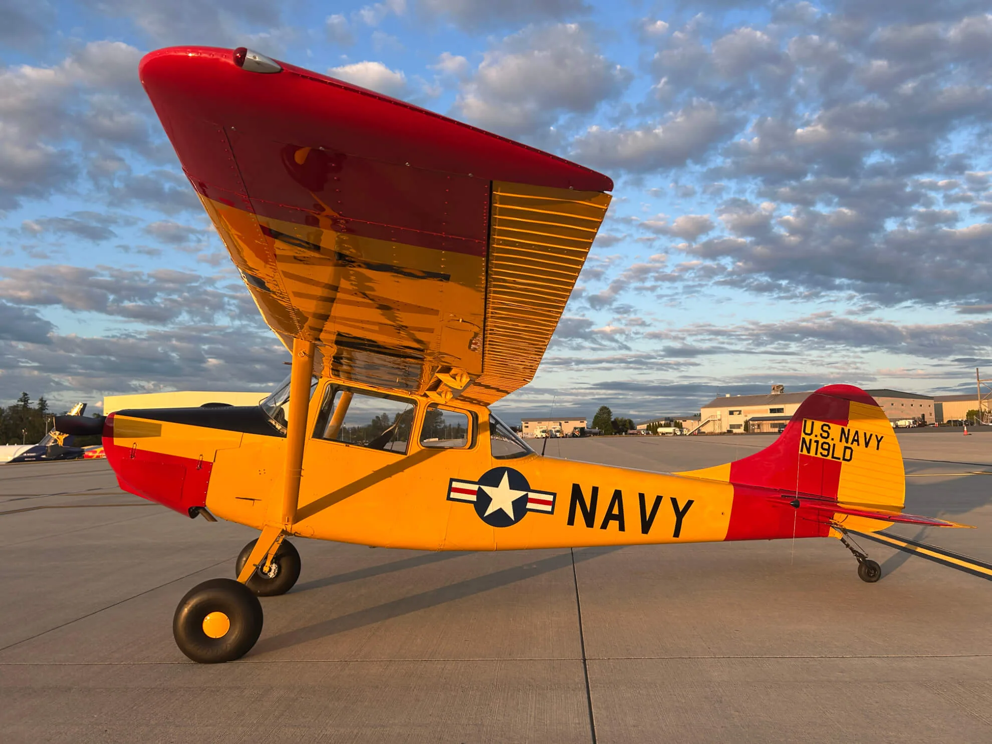 1951 Cessna L-19 “Birddog”
