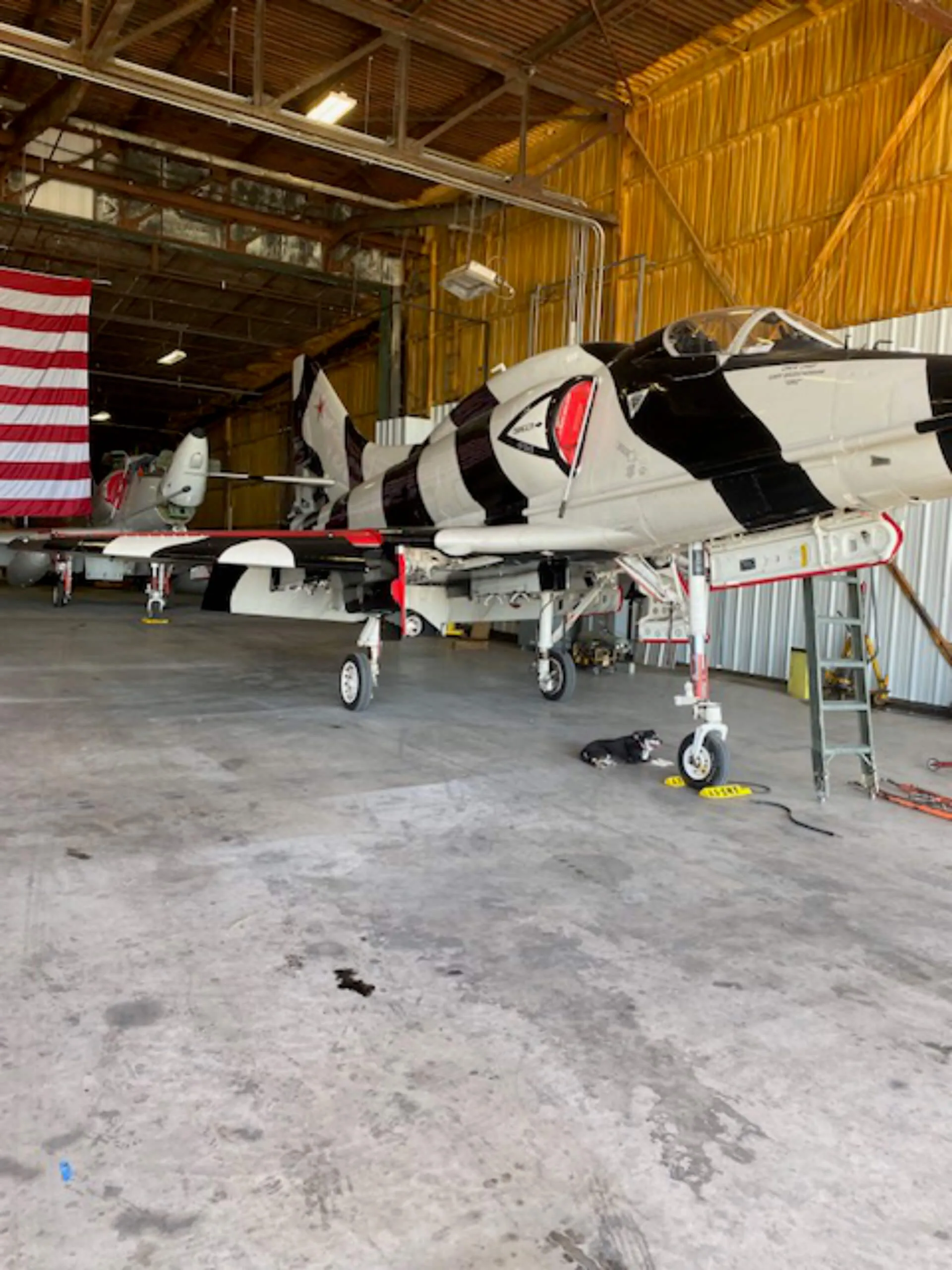 1961 Douglas A-4L Skyhawk
