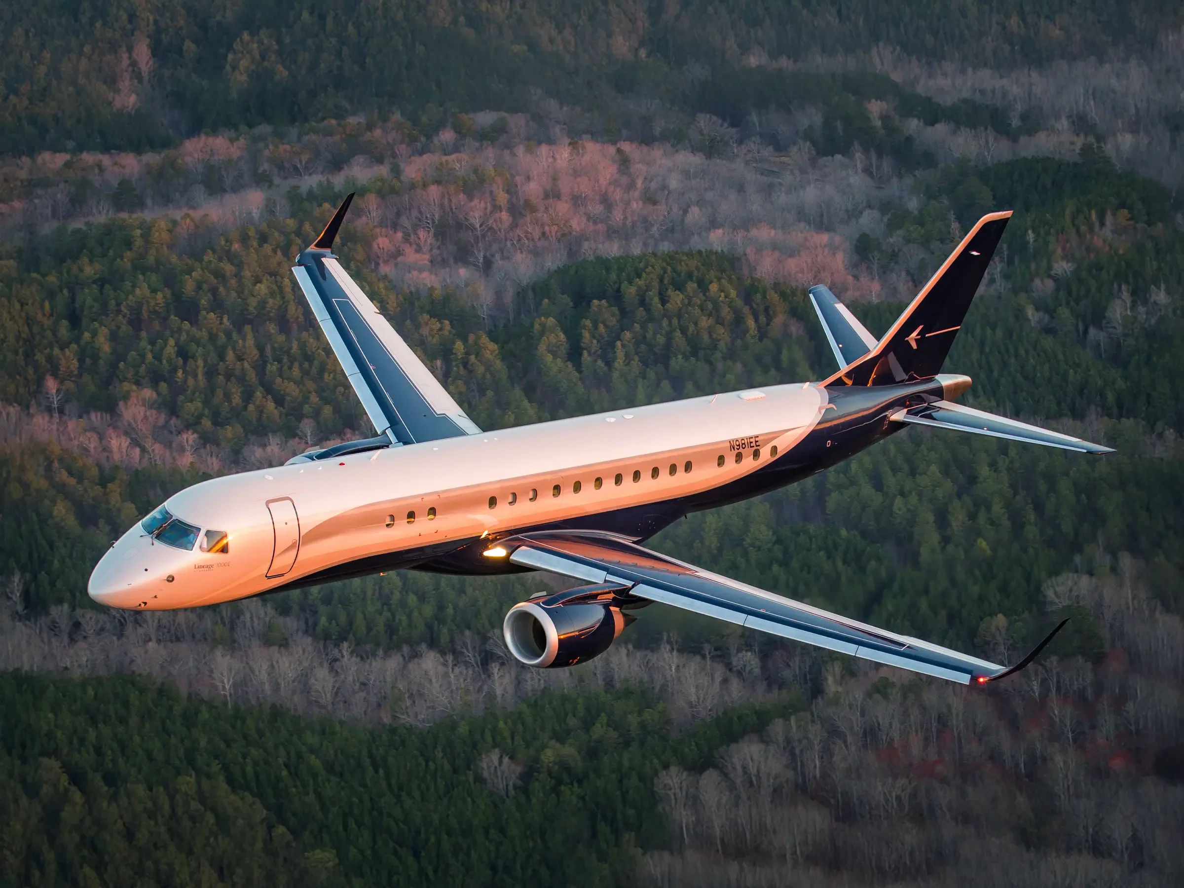 Exterior view of a 2014 Embraer Lineage 1000E, N378TB.