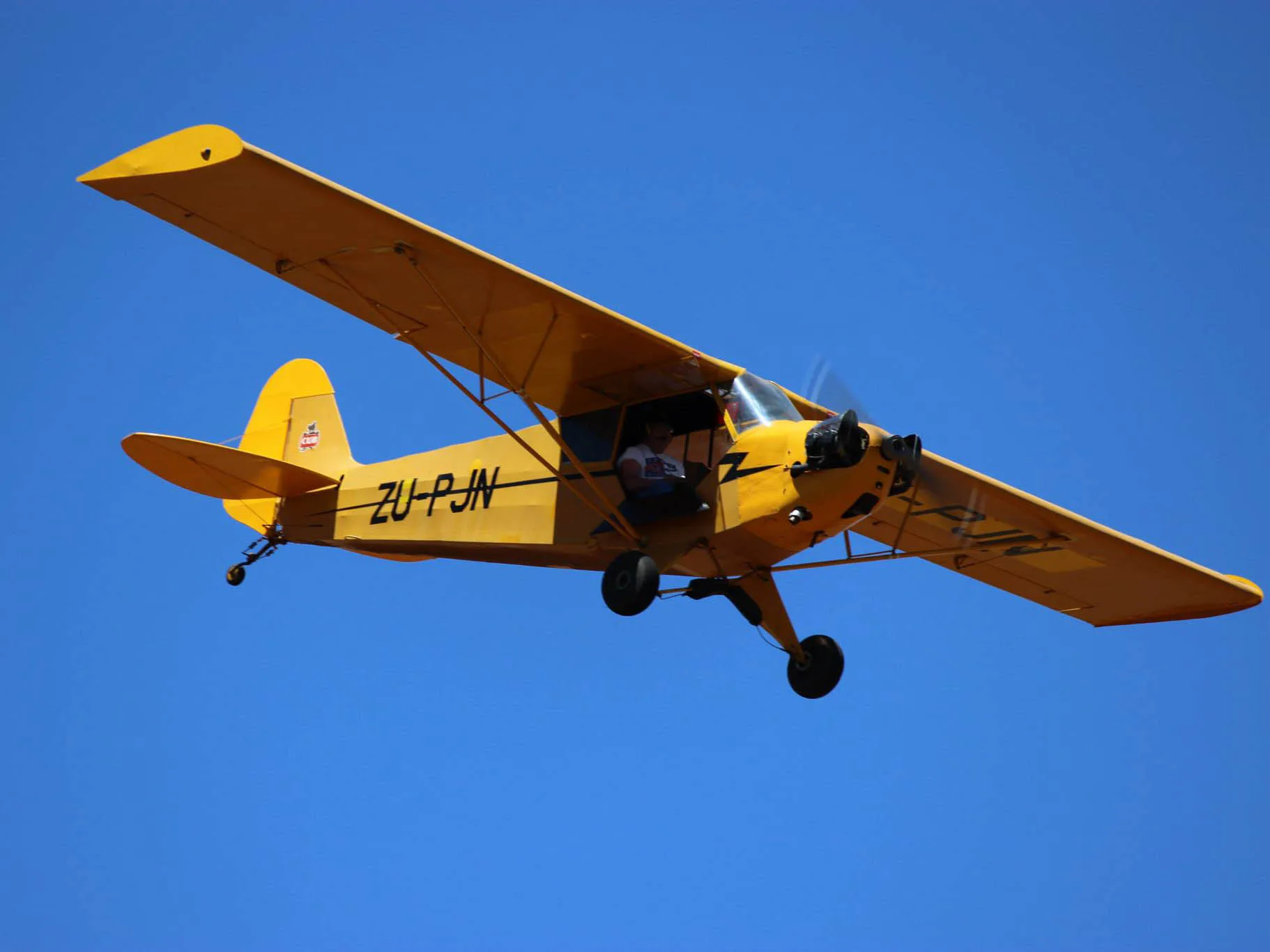 Marketing image of a Piper.
