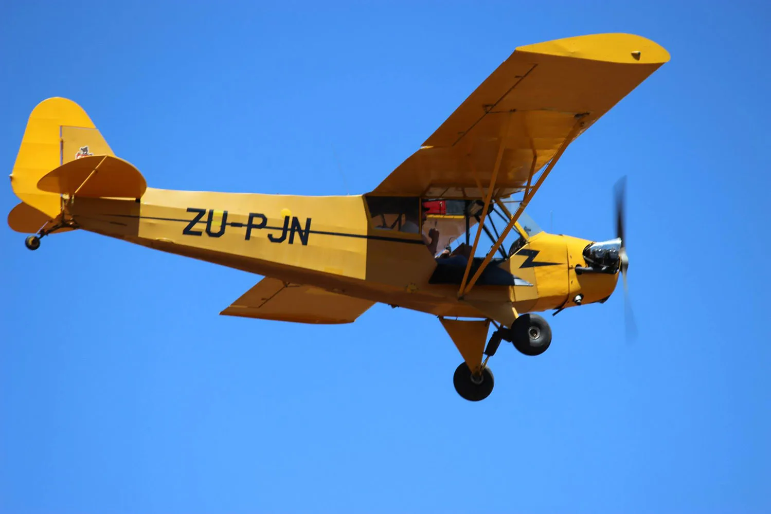 Exterior view of a Piper, L-4CUB.