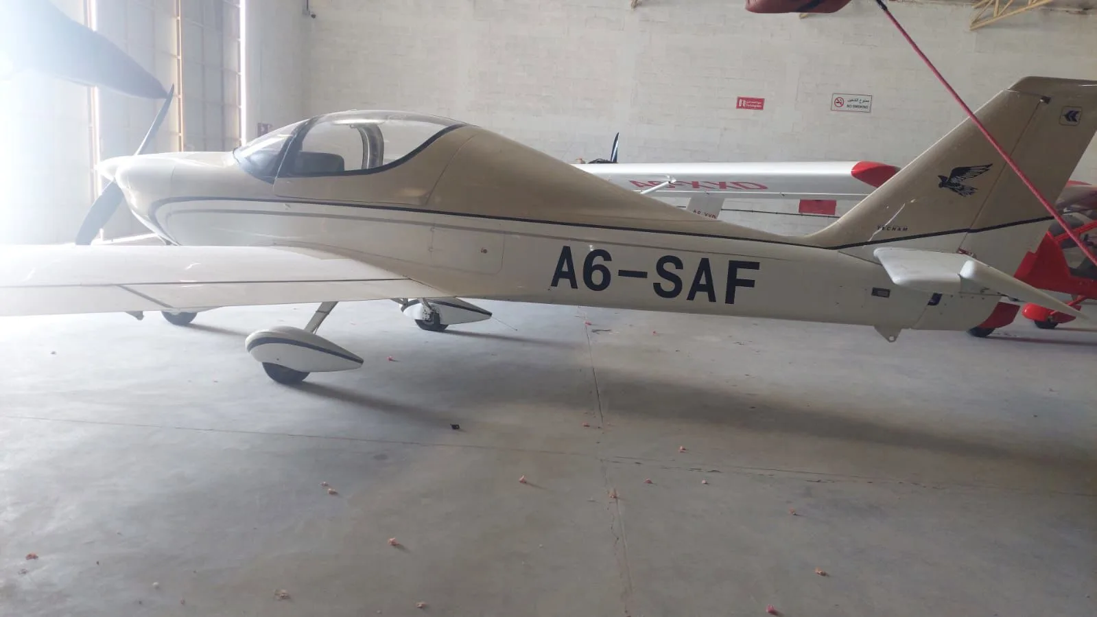Exterior view of a 2014 Tecnam Astore.