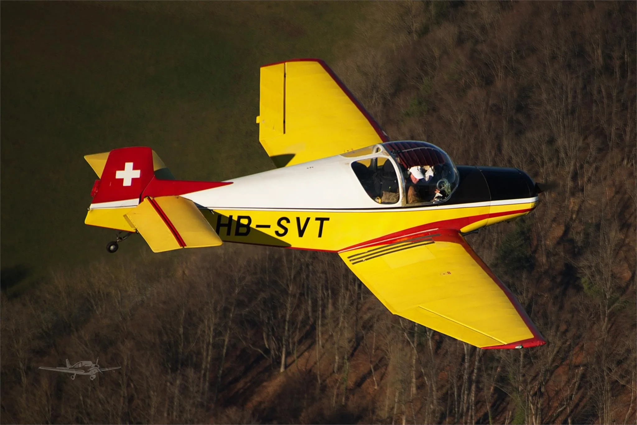 Marketing image of a 1962 JODEL D11.