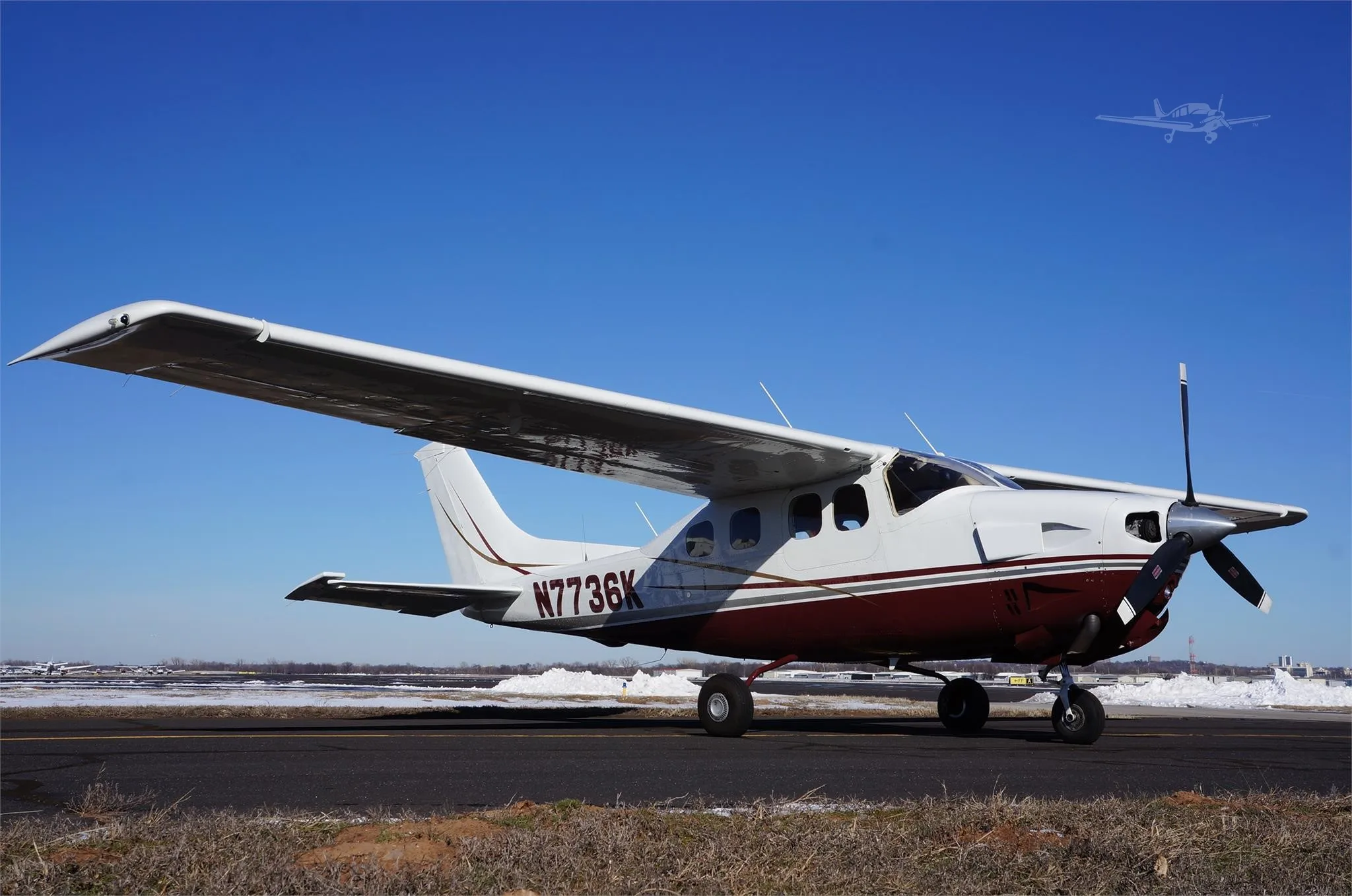 Exterior view of a 1980 CESSNA P210N, N7736K.