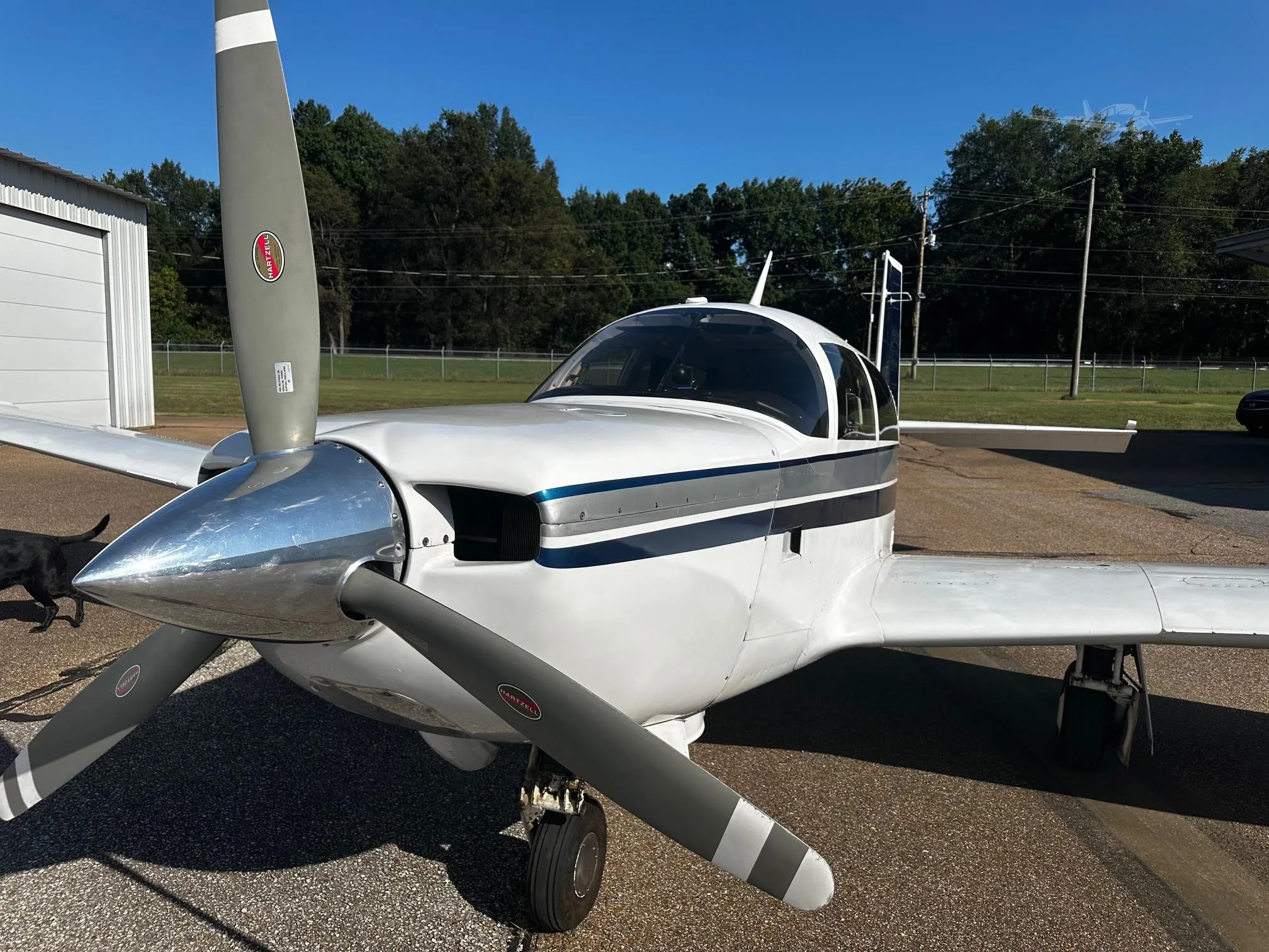 1979 Mooney M20K 231