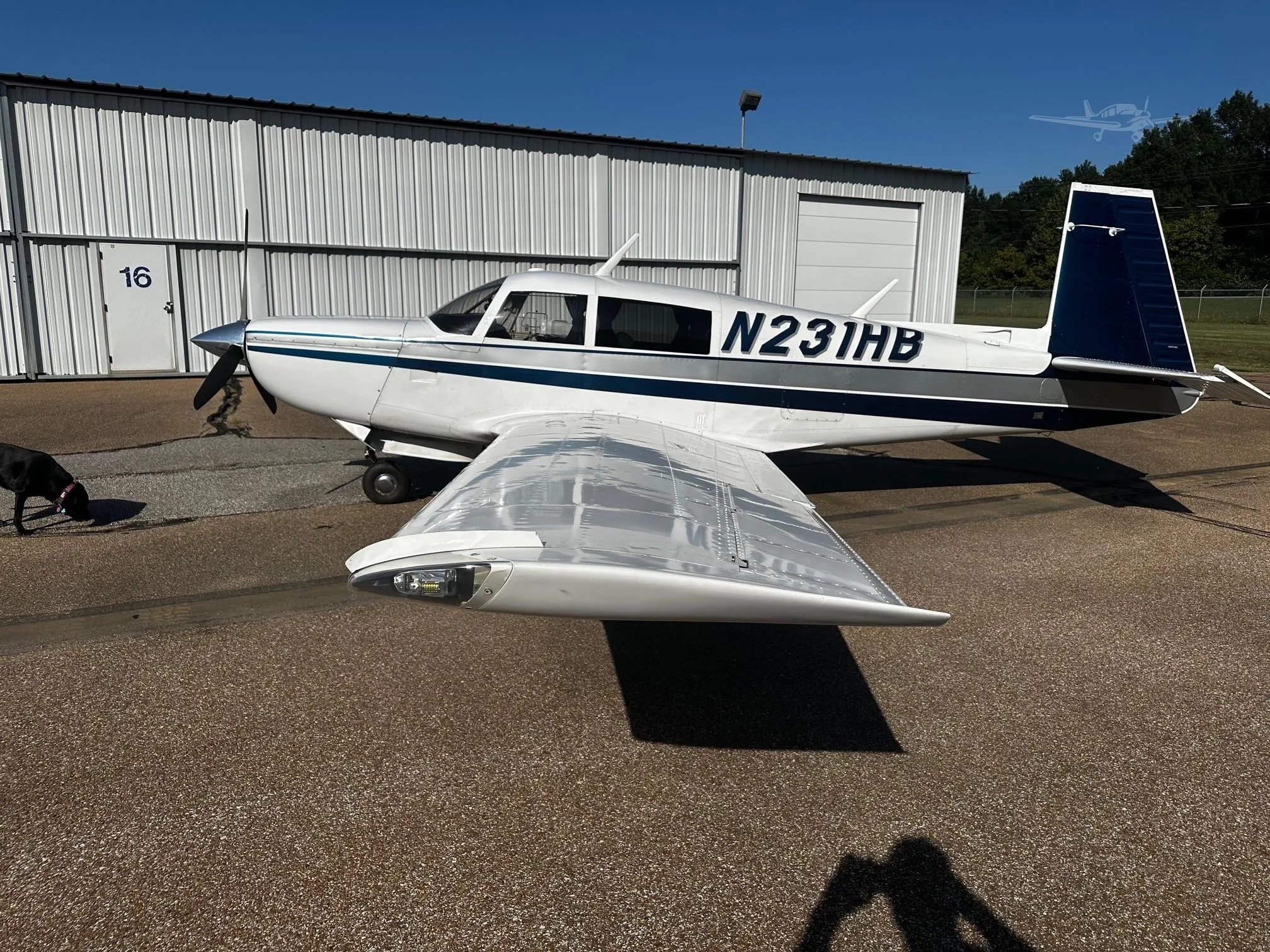 1979 Mooney M20K 231