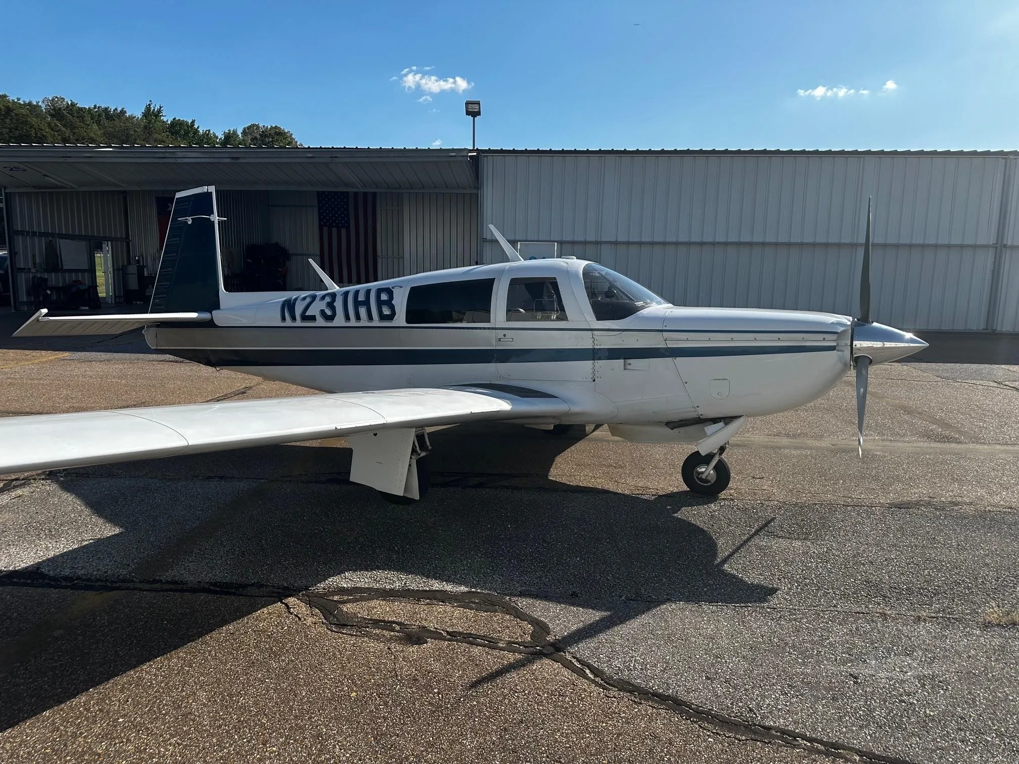 1979 MOONEY M20K 231