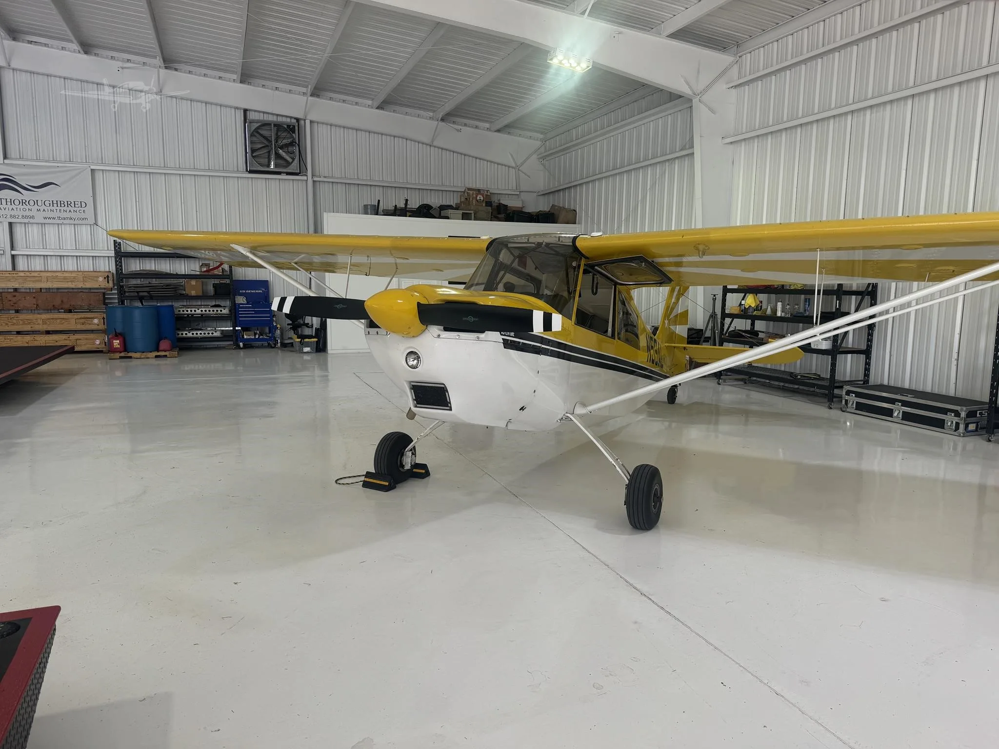 Exterior view of a 2001 AMERICAN CHAMPION 7-GCAA CITABRIA, N59AL.