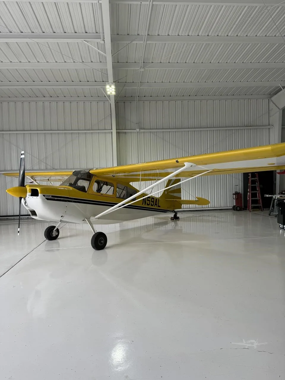 Exterior view of a 2001 AMERICAN CHAMPION 7-GCAA CITABRIA, N59AL.