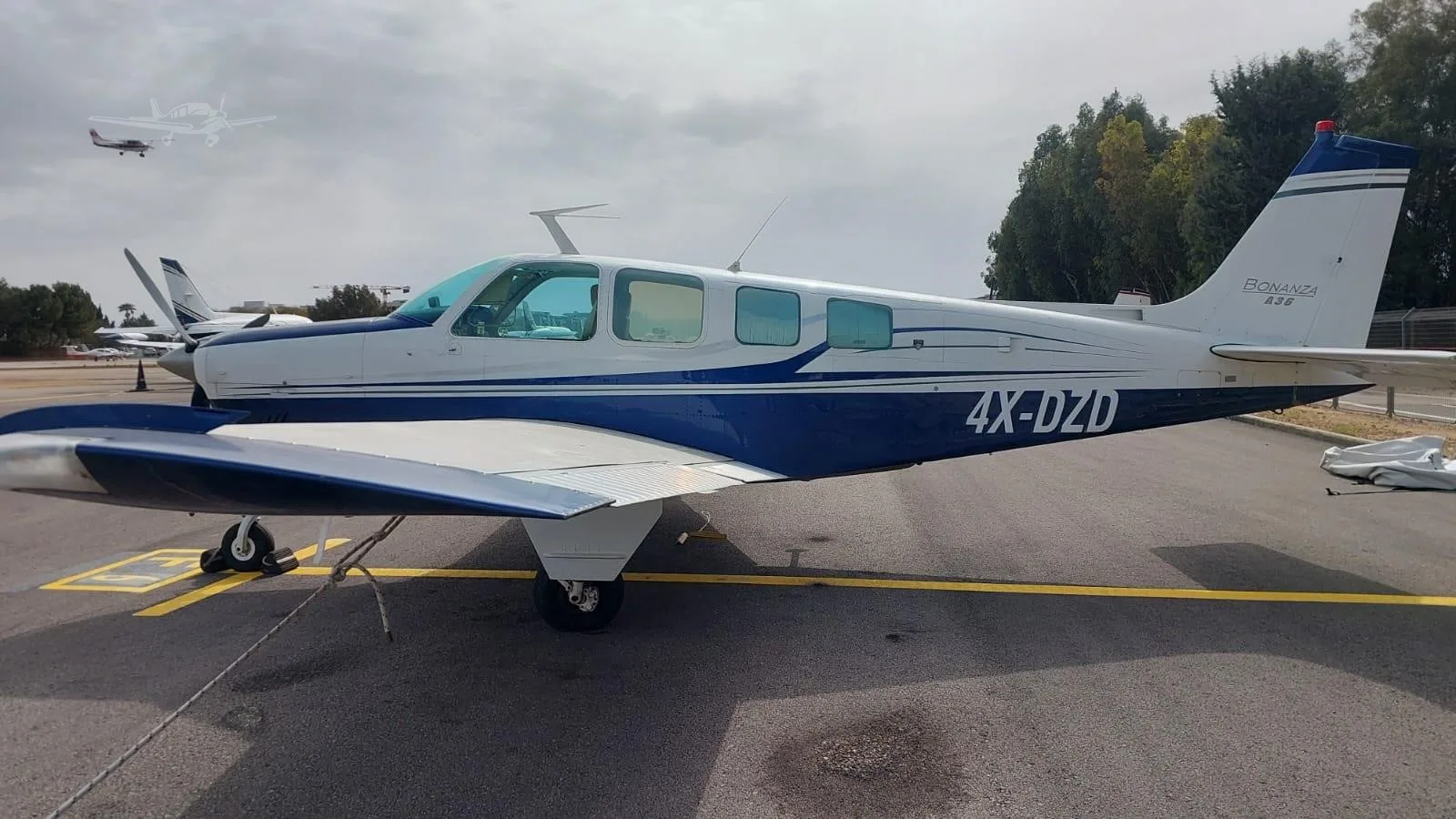 Exterior view of a 1979 BEECHCRAFT A36 BONANZA, 4X-DZD.