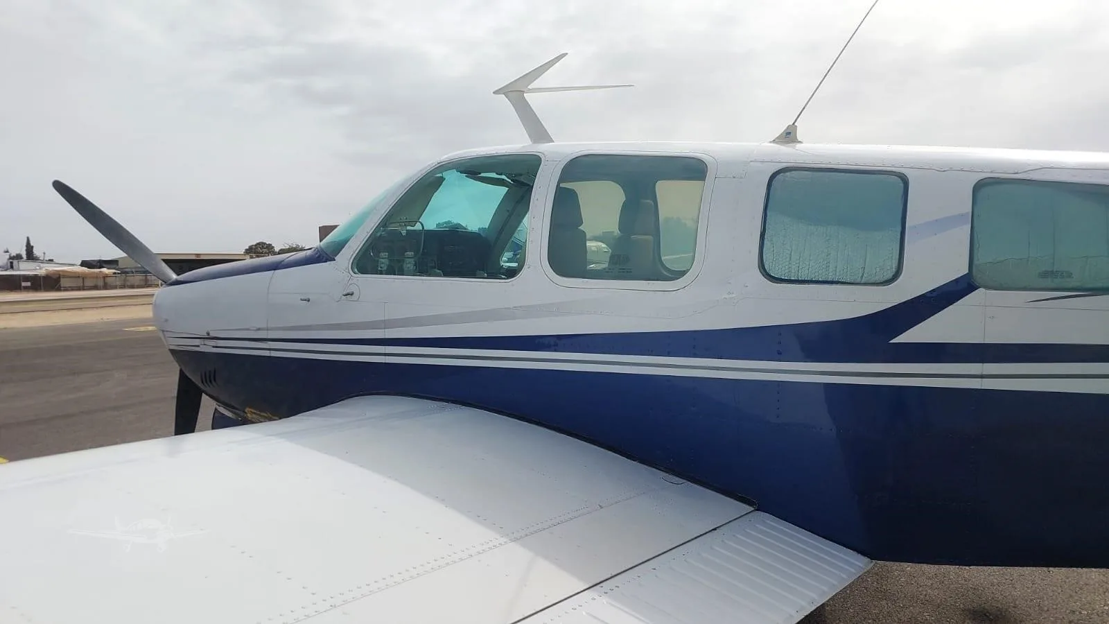 Exterior view of a 1979 BEECHCRAFT A36 BONANZA, 4X-DZD.