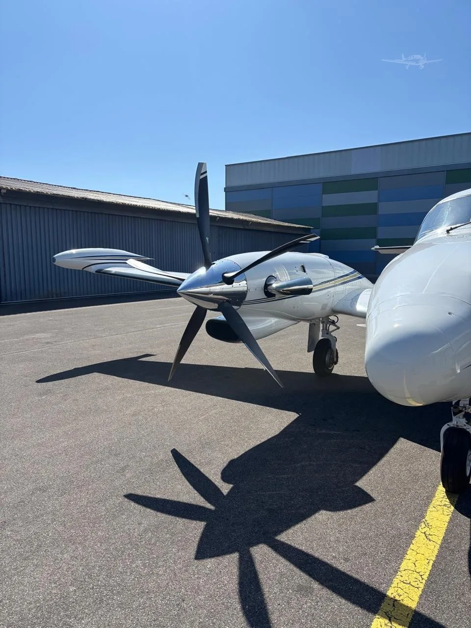 Exterior view of a 1981 PIPER CHEYENNE II, HB-LUF.