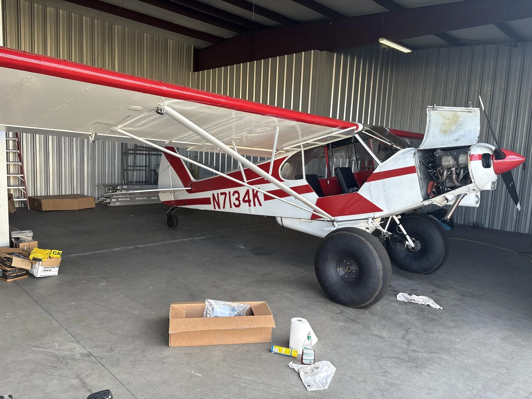 Exterior view of a 1952 PIPER SUPER CUB, N7134K.