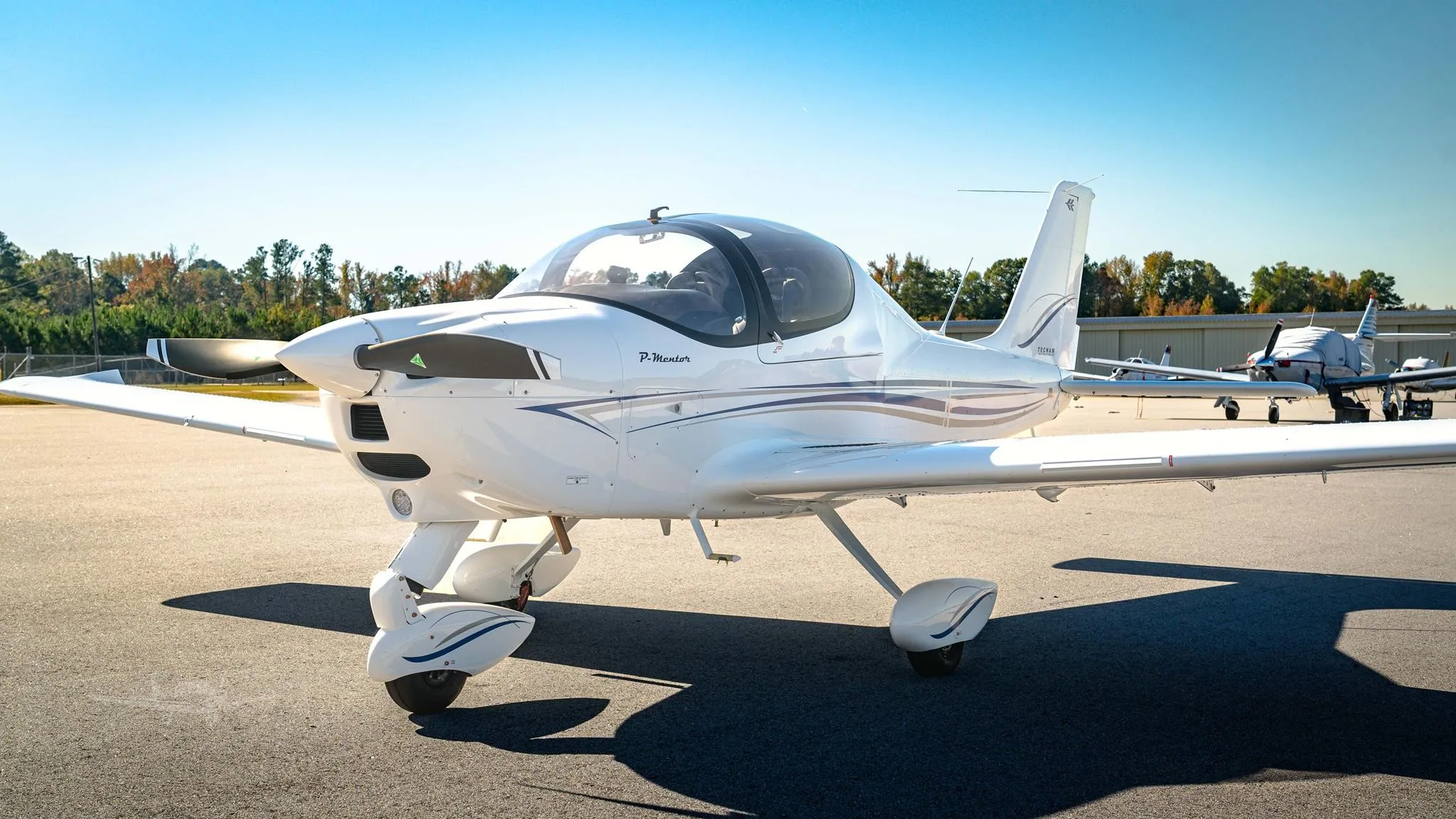 2026 Tecnam P Mentor