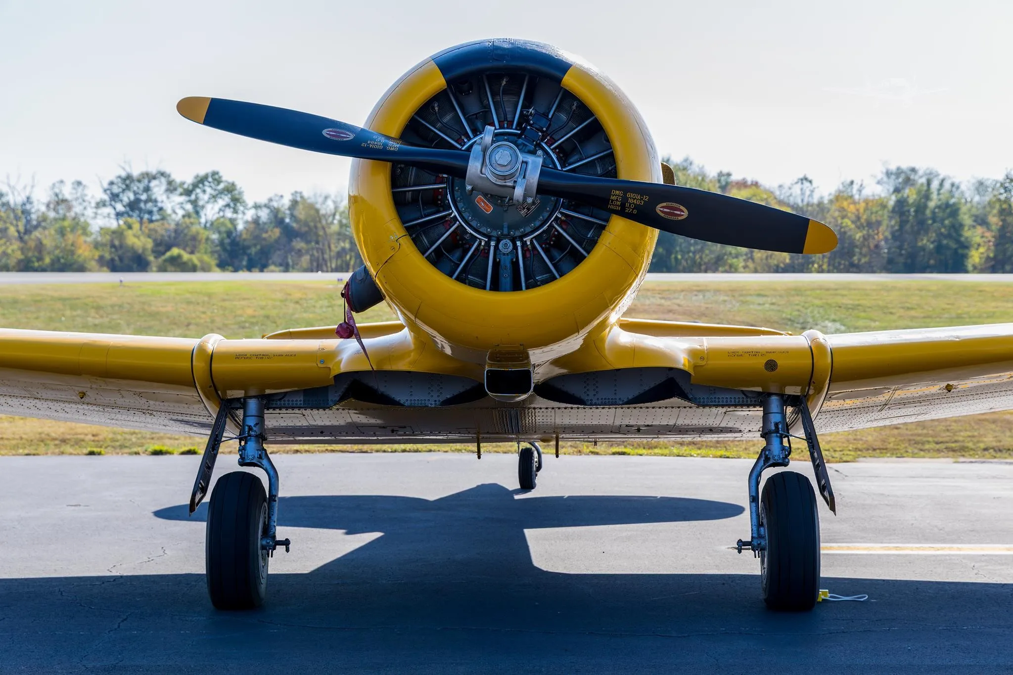 Exterior view of a 1958 NORTH AMERICAN AT-6G, N3173G.