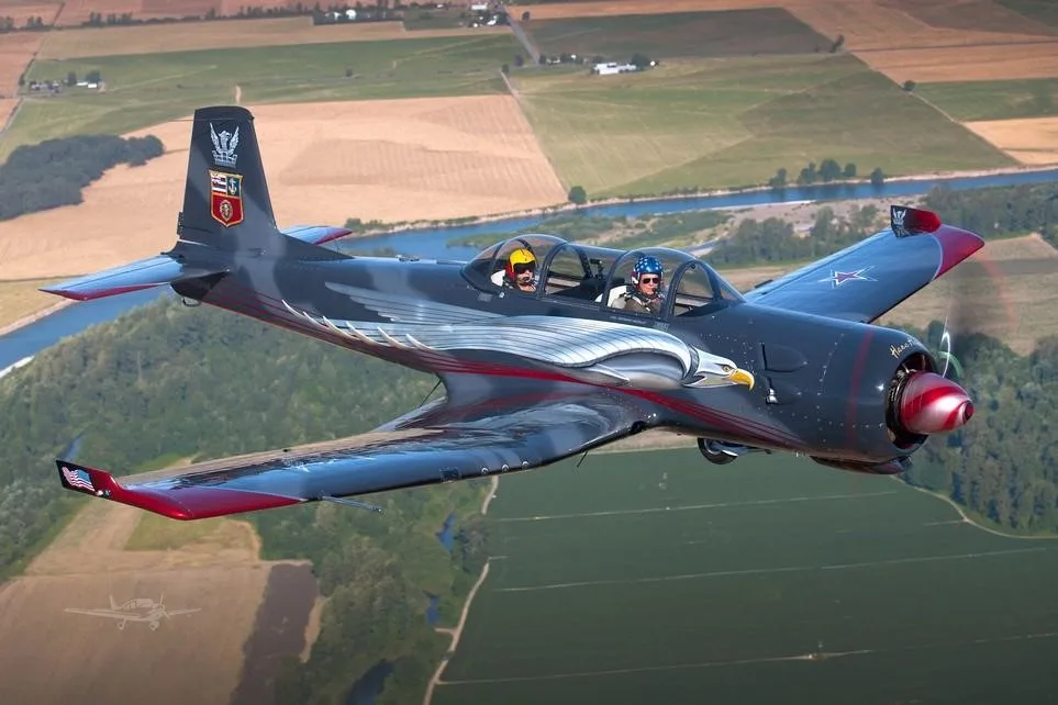 2001 Nanchang CJ-6A