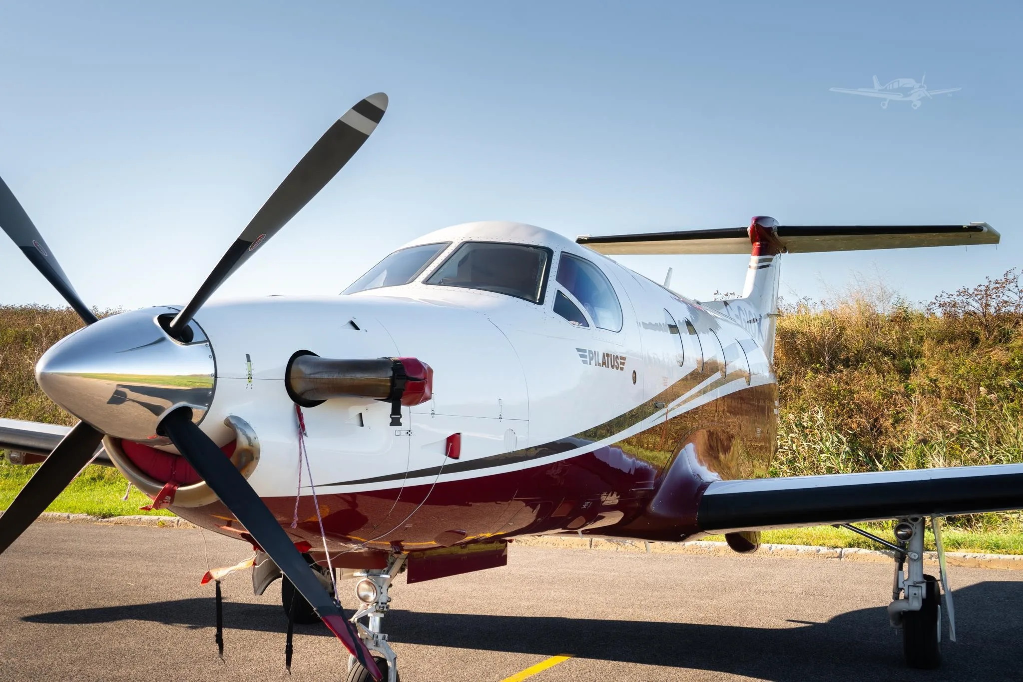 Exterior view of a 2010 PILATUS PC-12 NG, C-GIOX.