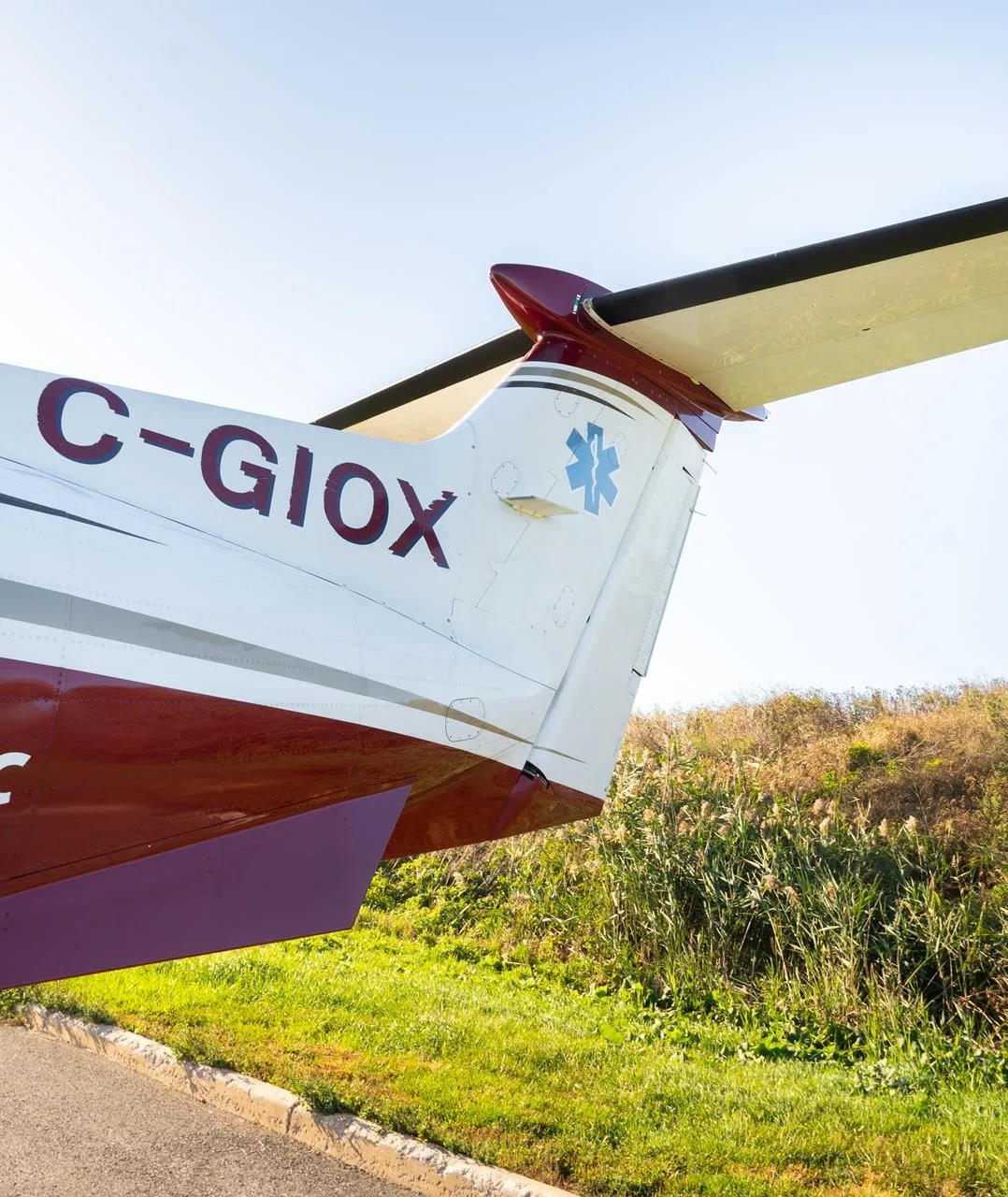 Exterior view of a 2010 PILATUS PC-12 NG, C-GIOX.