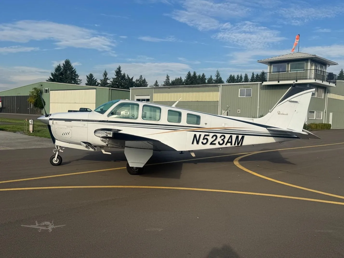 Exterior view of a 1980 BEECHCRAFT A36 BONANZA, N523AM.