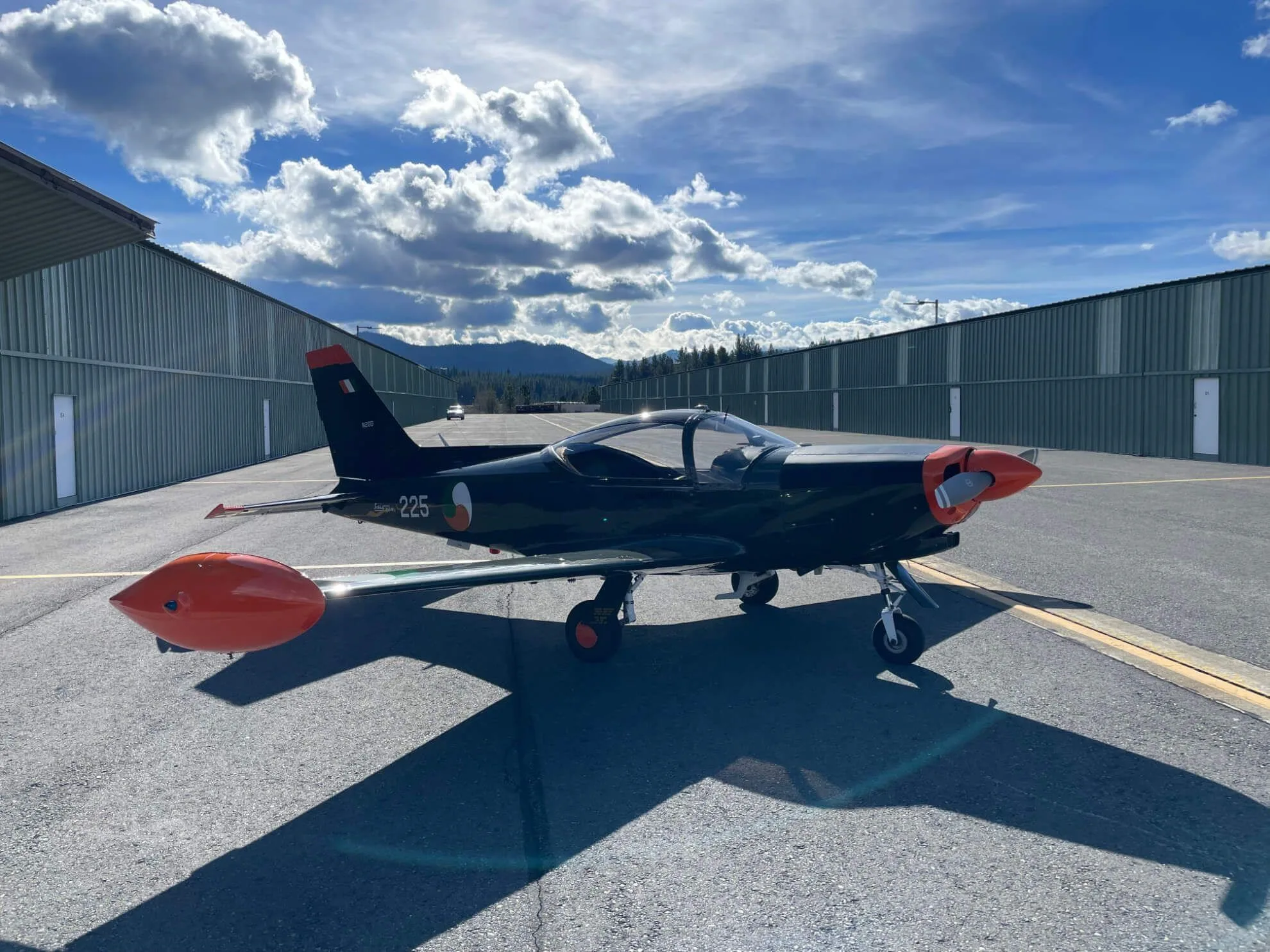 1976 Siai Marchetti SF260W