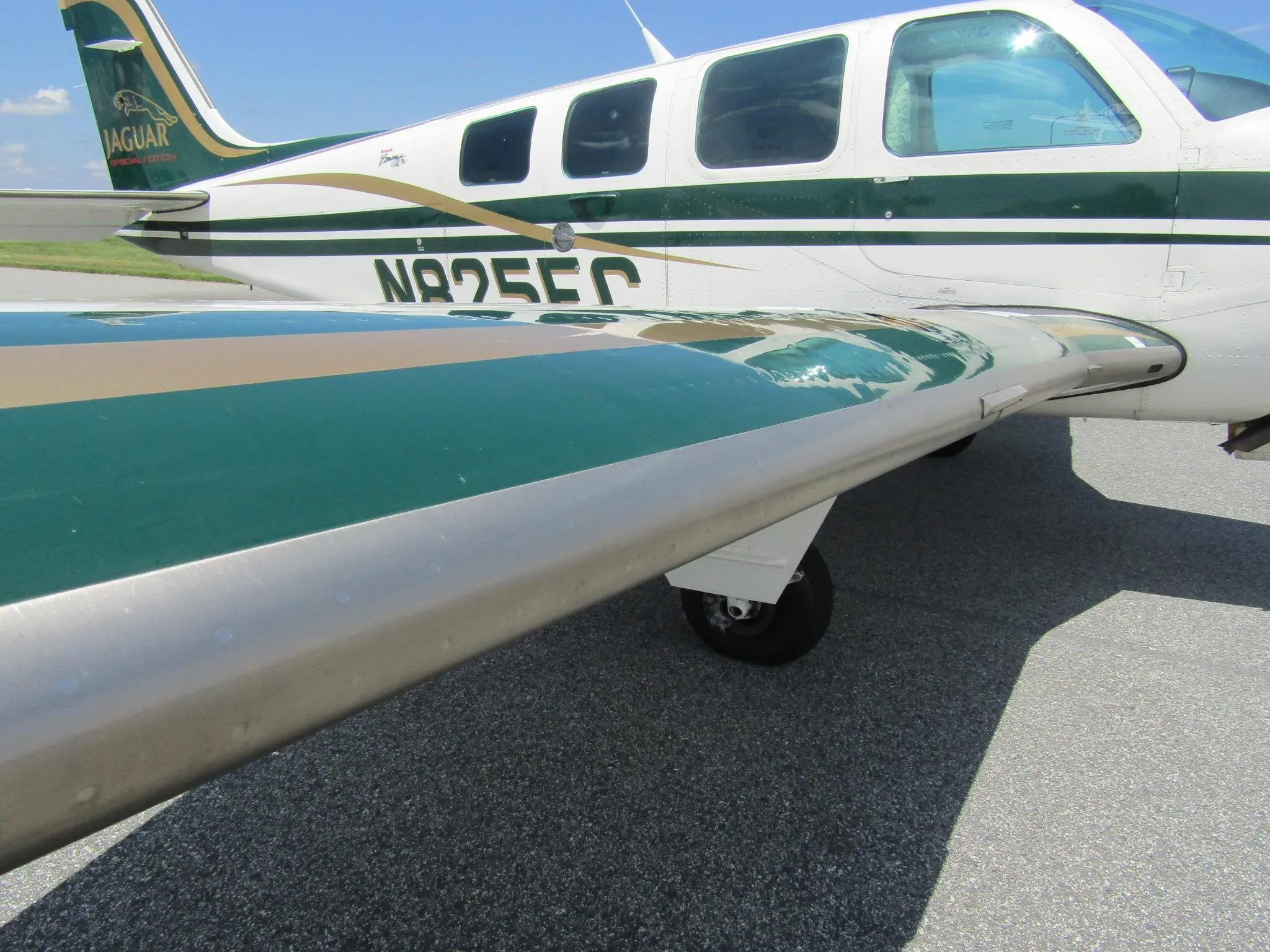 Exterior view of a 1999 BEECHCRAFT A36 BONANZA, N825EC.
