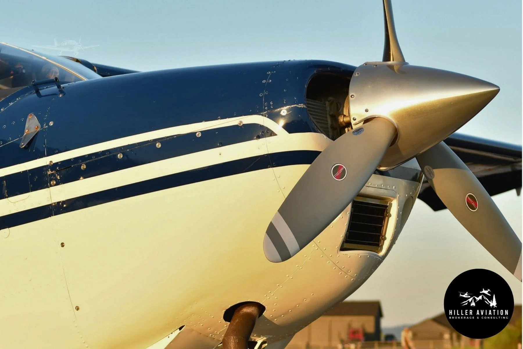 Marketing image of a 1975 CESSNA A185F.