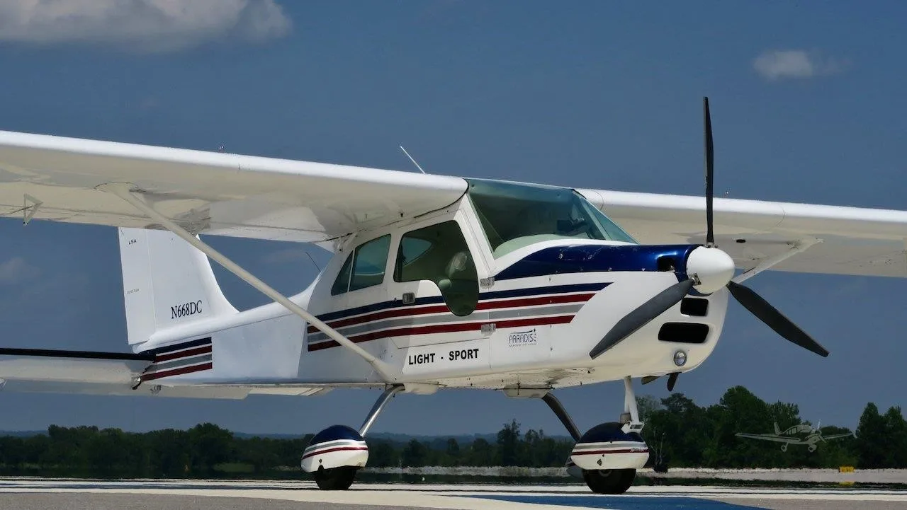 2009 PARADISE P1 LSA