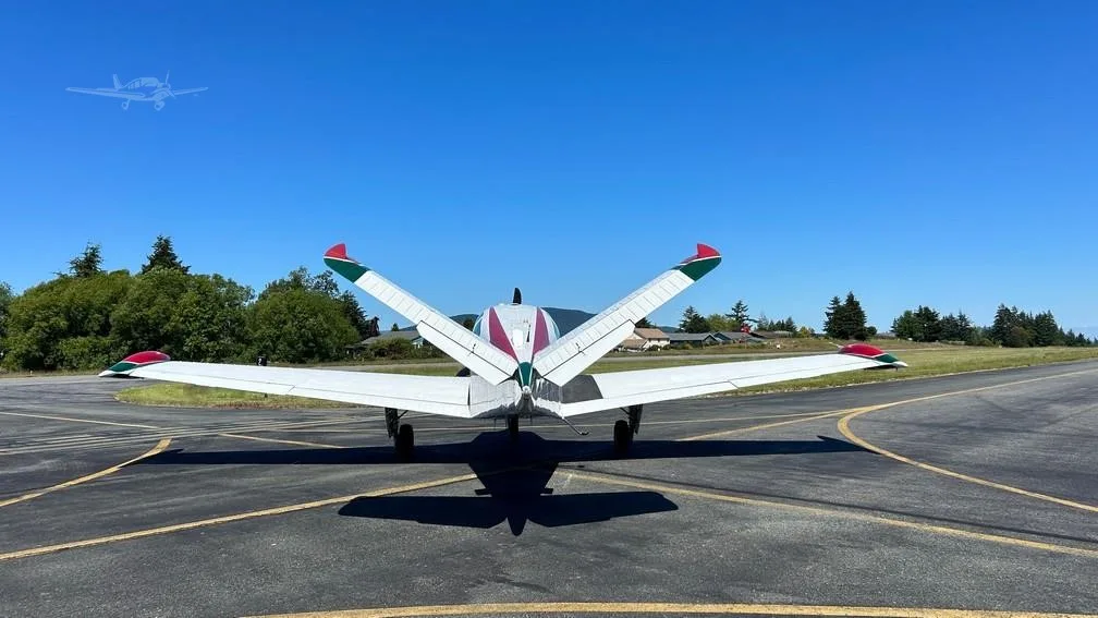 Exterior view of a 1973 BEECHCRAFT V35B BONANZA, C-GTVB.