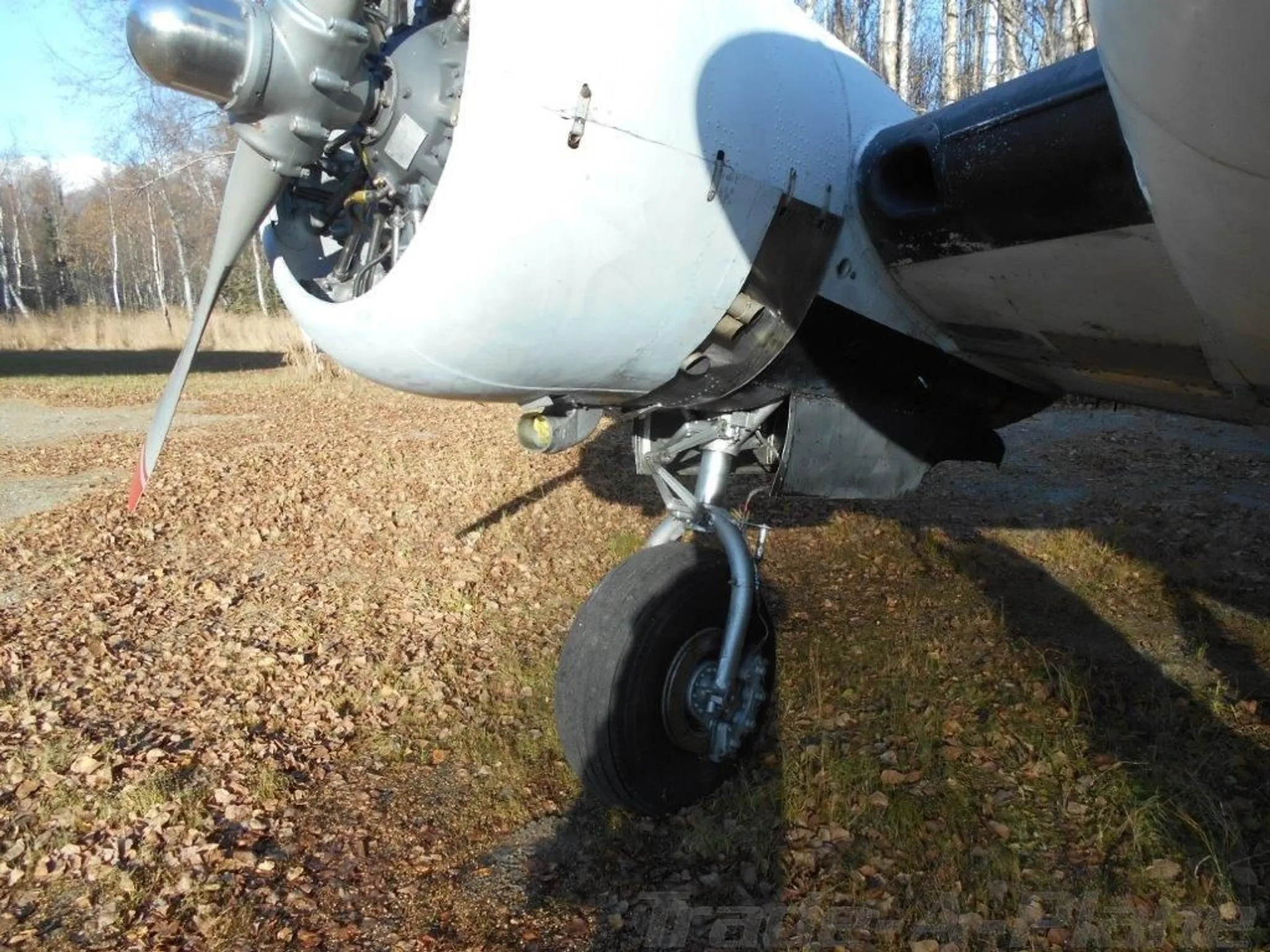 Beechcraft G18S